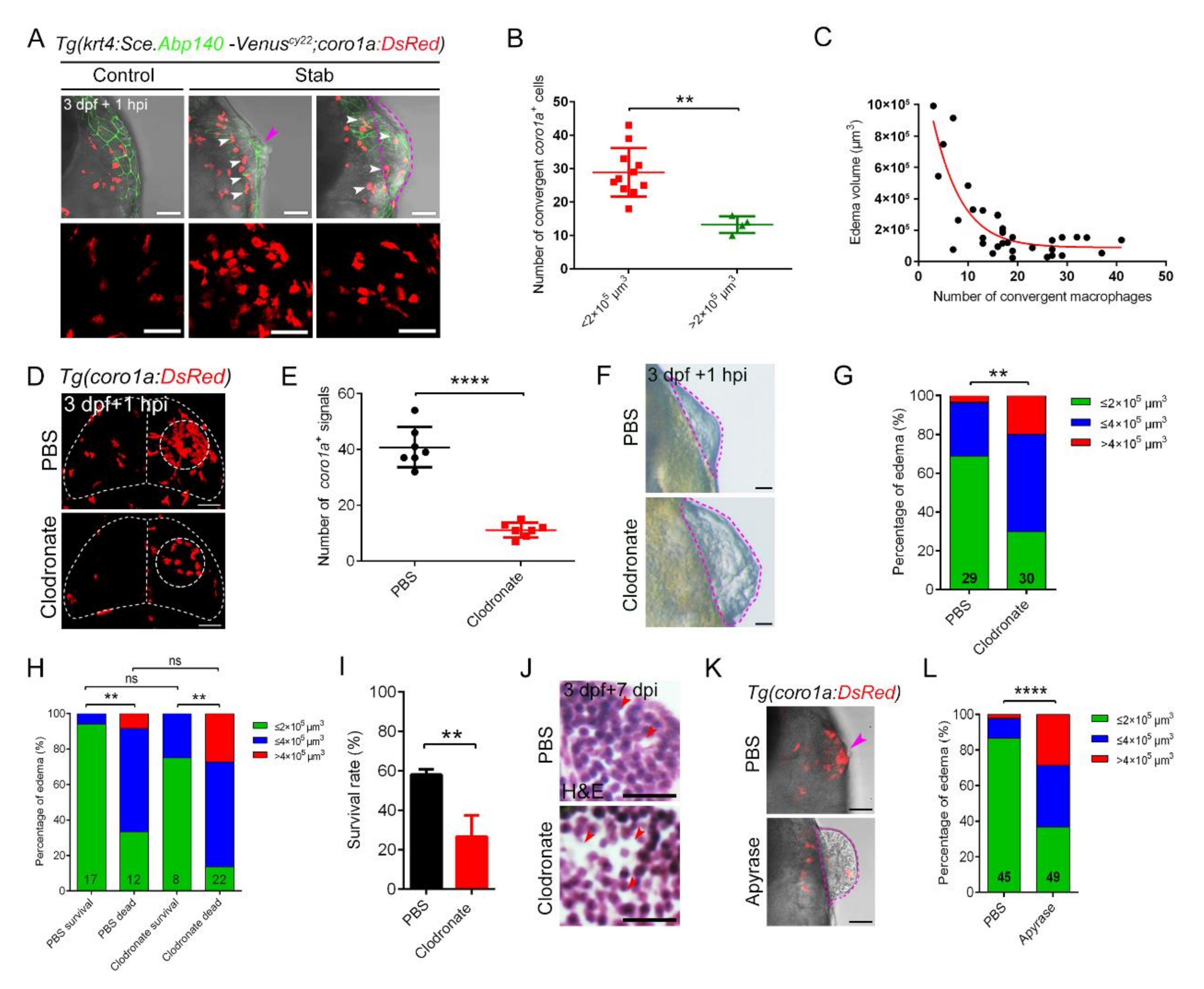 Ijms 23 10551 g004 Ijms 23 10551 g004