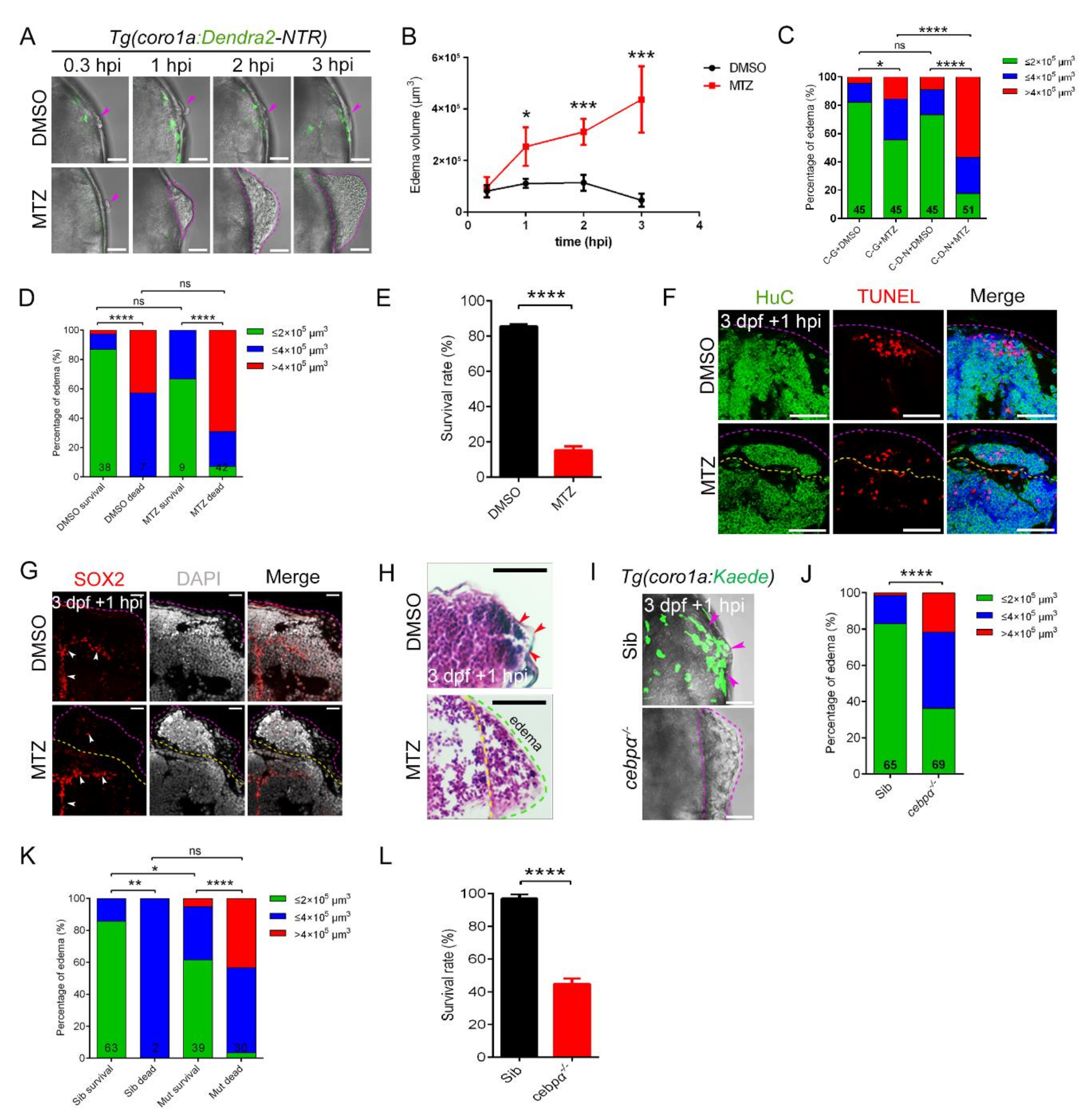 Ijms 23 10551 g005 Ijms 23 10551 g005