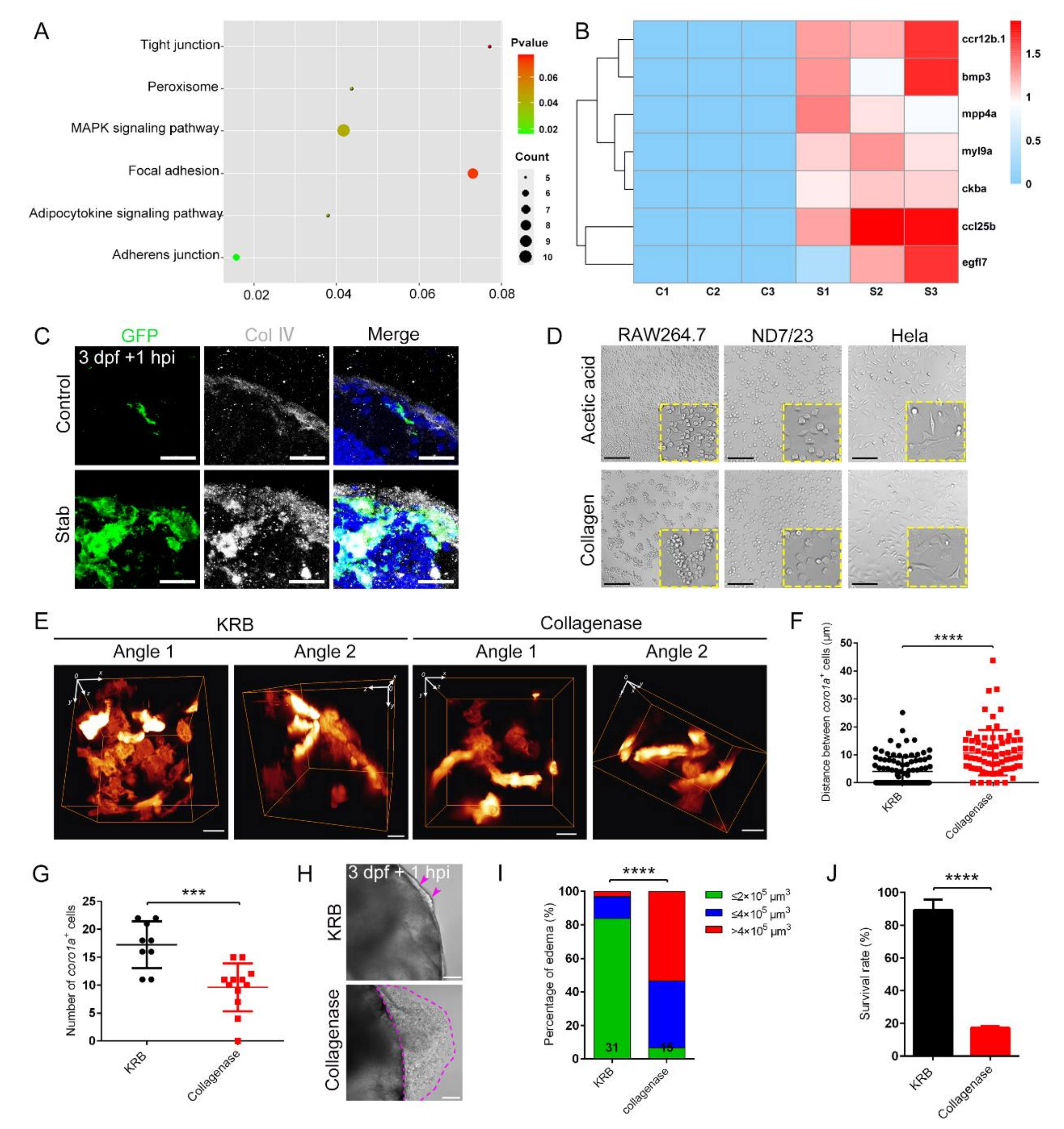 Ijms 23 10551 g007 Ijms 23 10551 g007