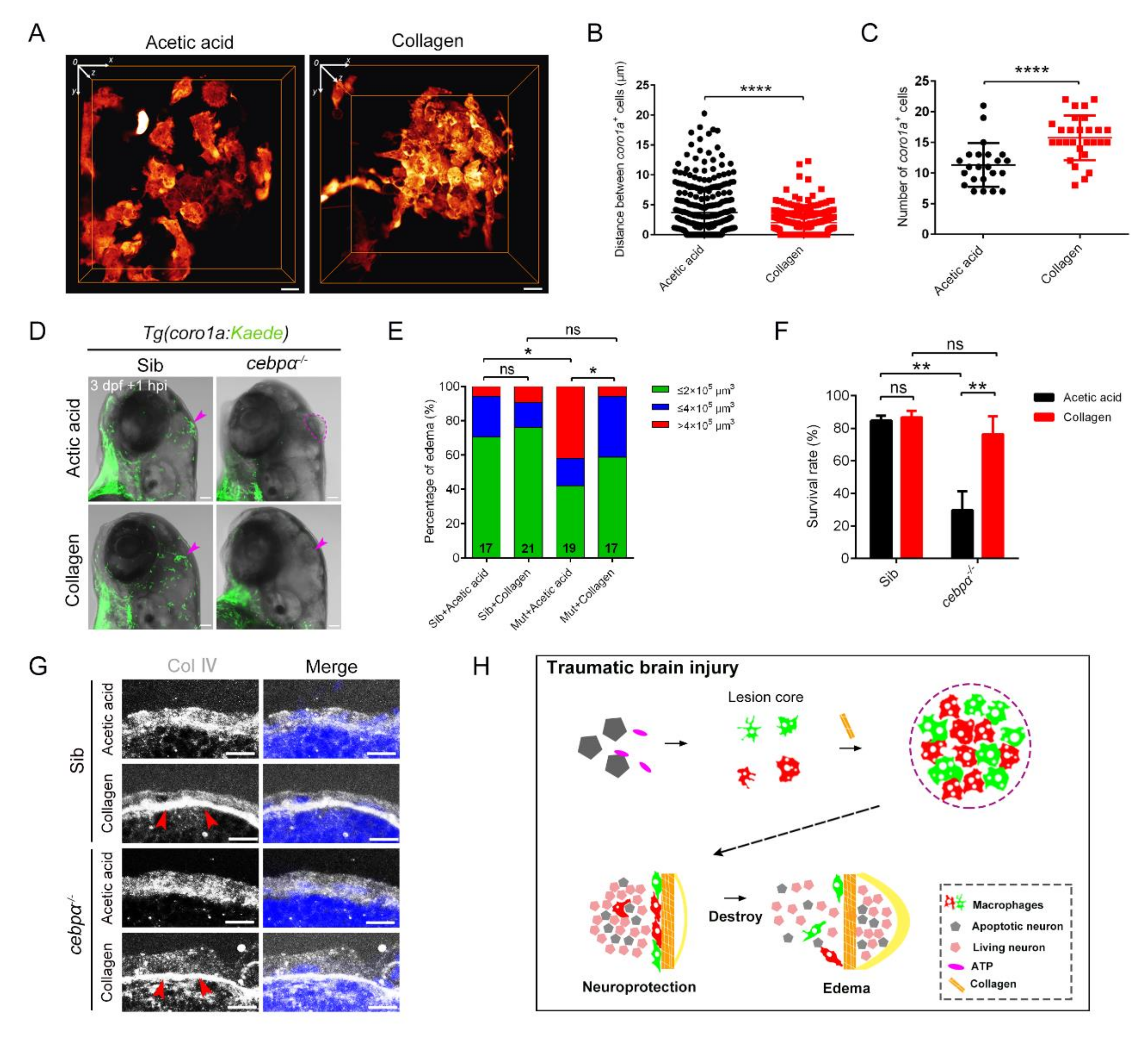 Ijms 23 10551 g008 Ijms 23 10551 g008