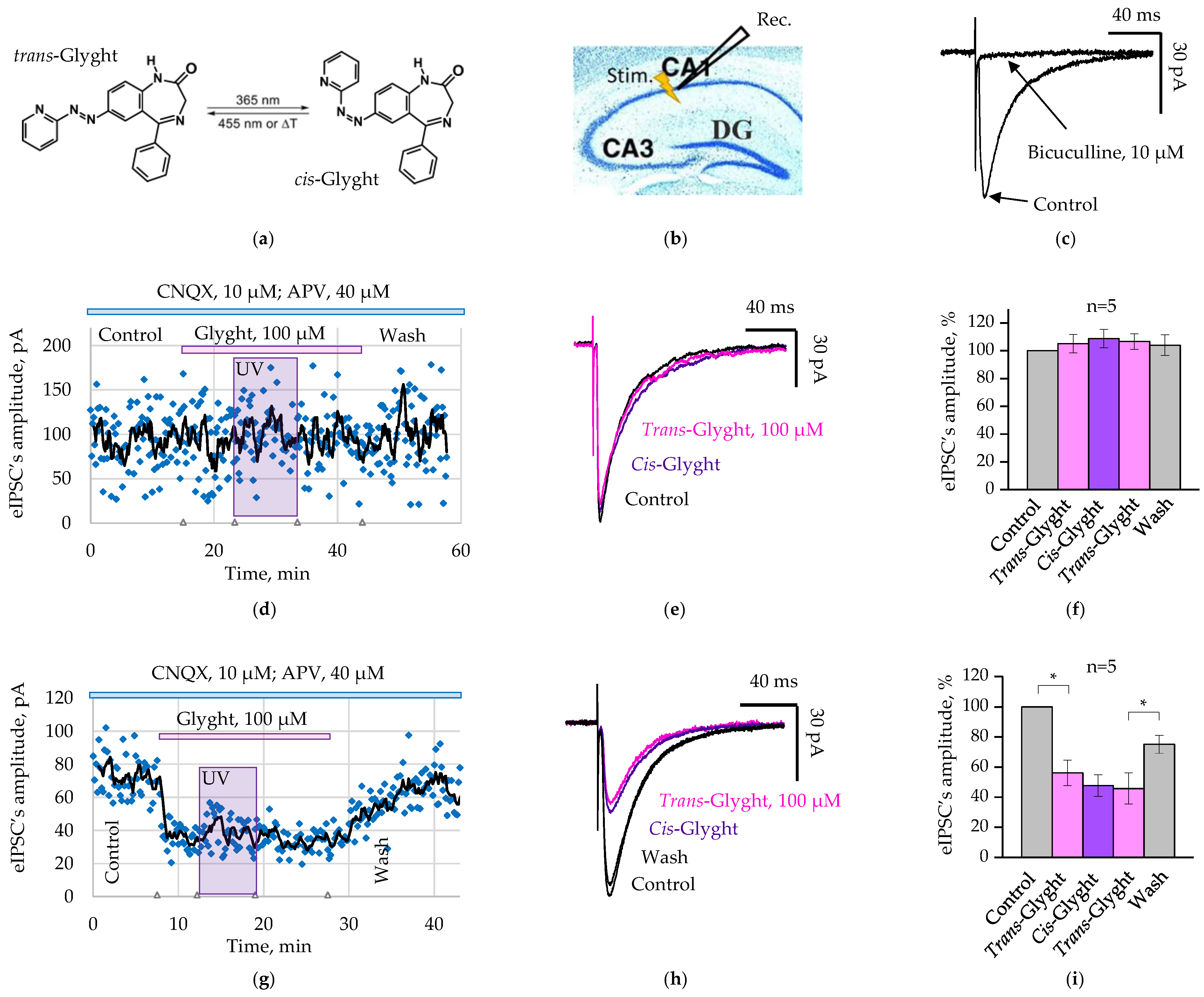 Ijms 23 10553 g001 550