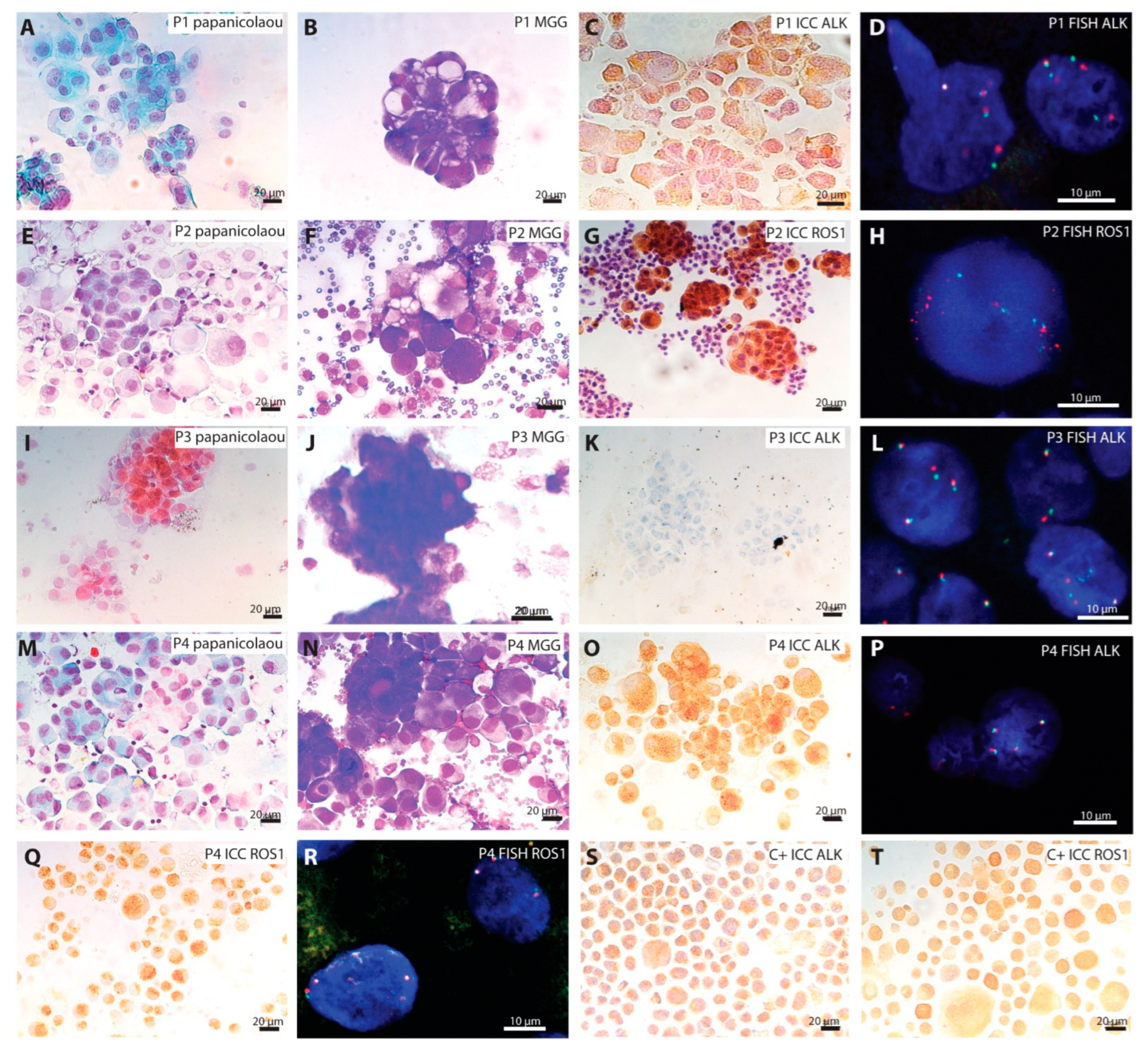 Ijms 23 10556 g001 550