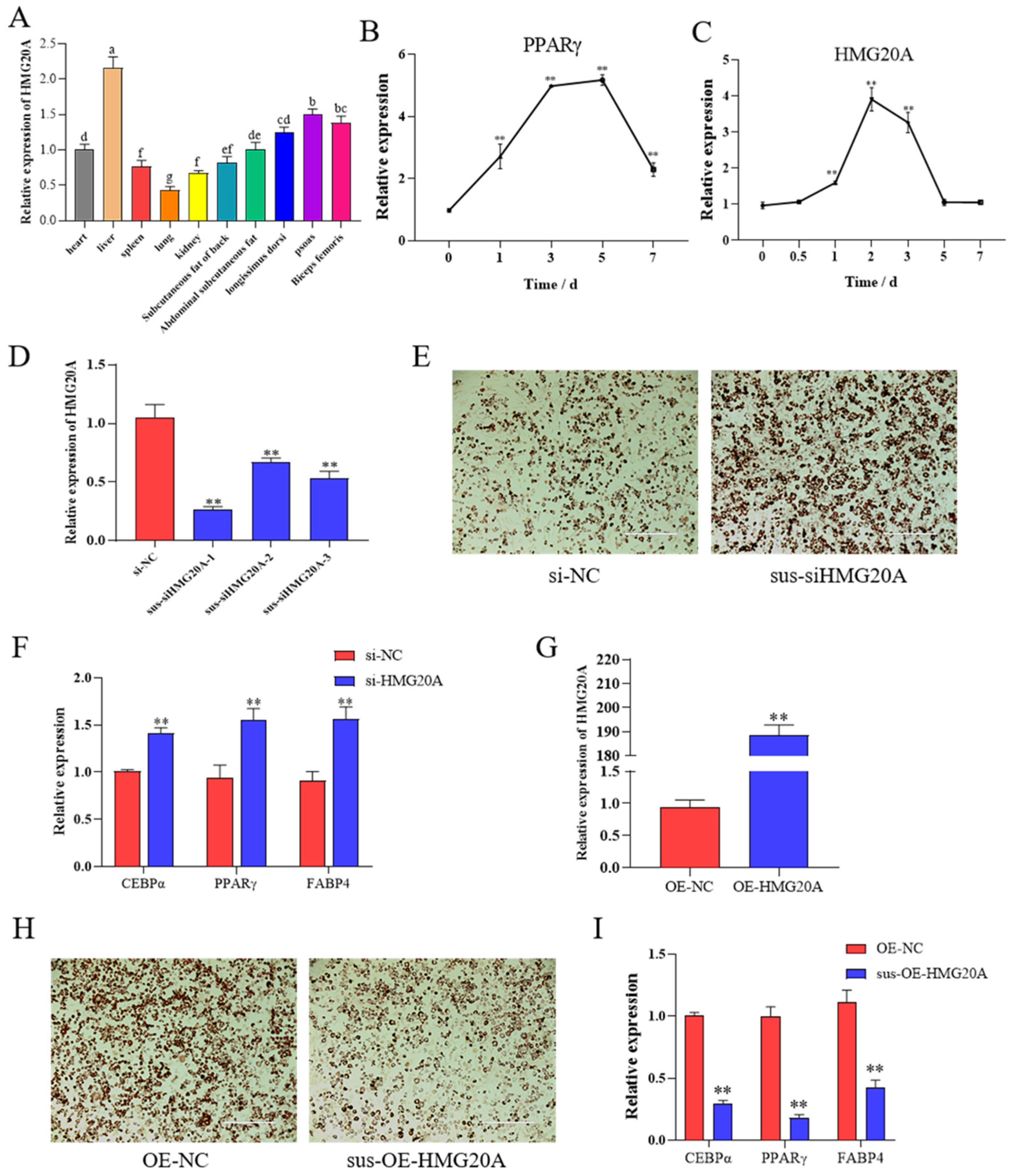 Ijms 23 10559 g001 550