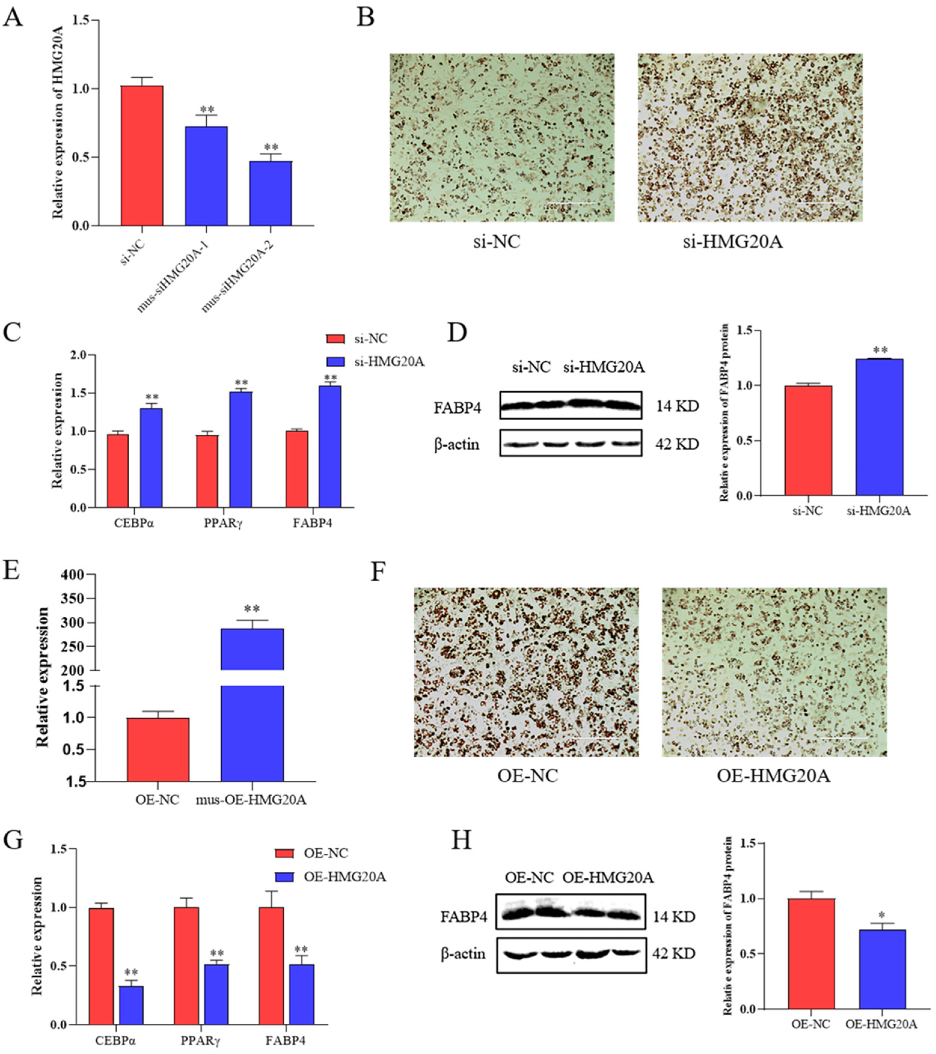 Ijms 23 10559 g002 550