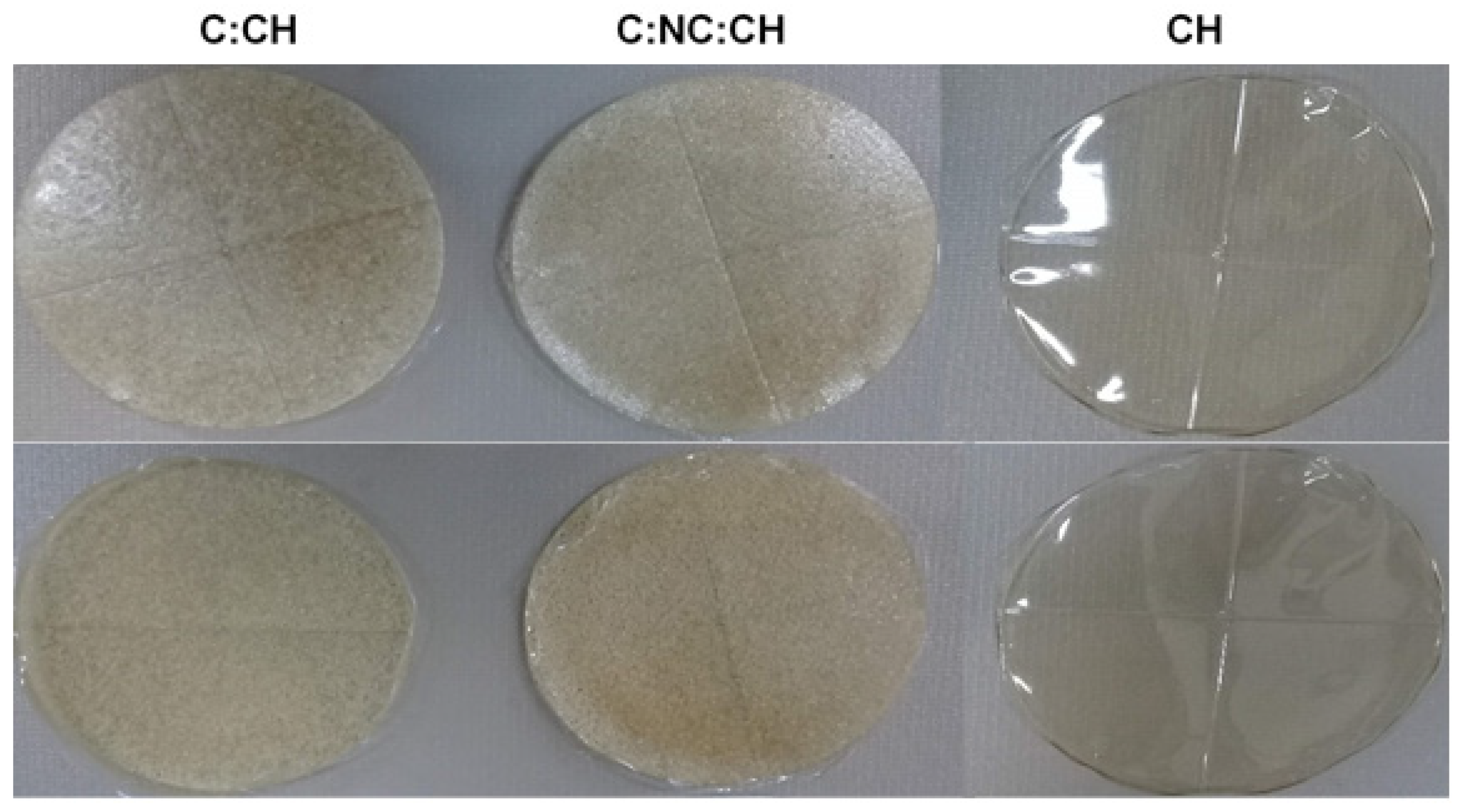 Ijms 23 10560 g001 550