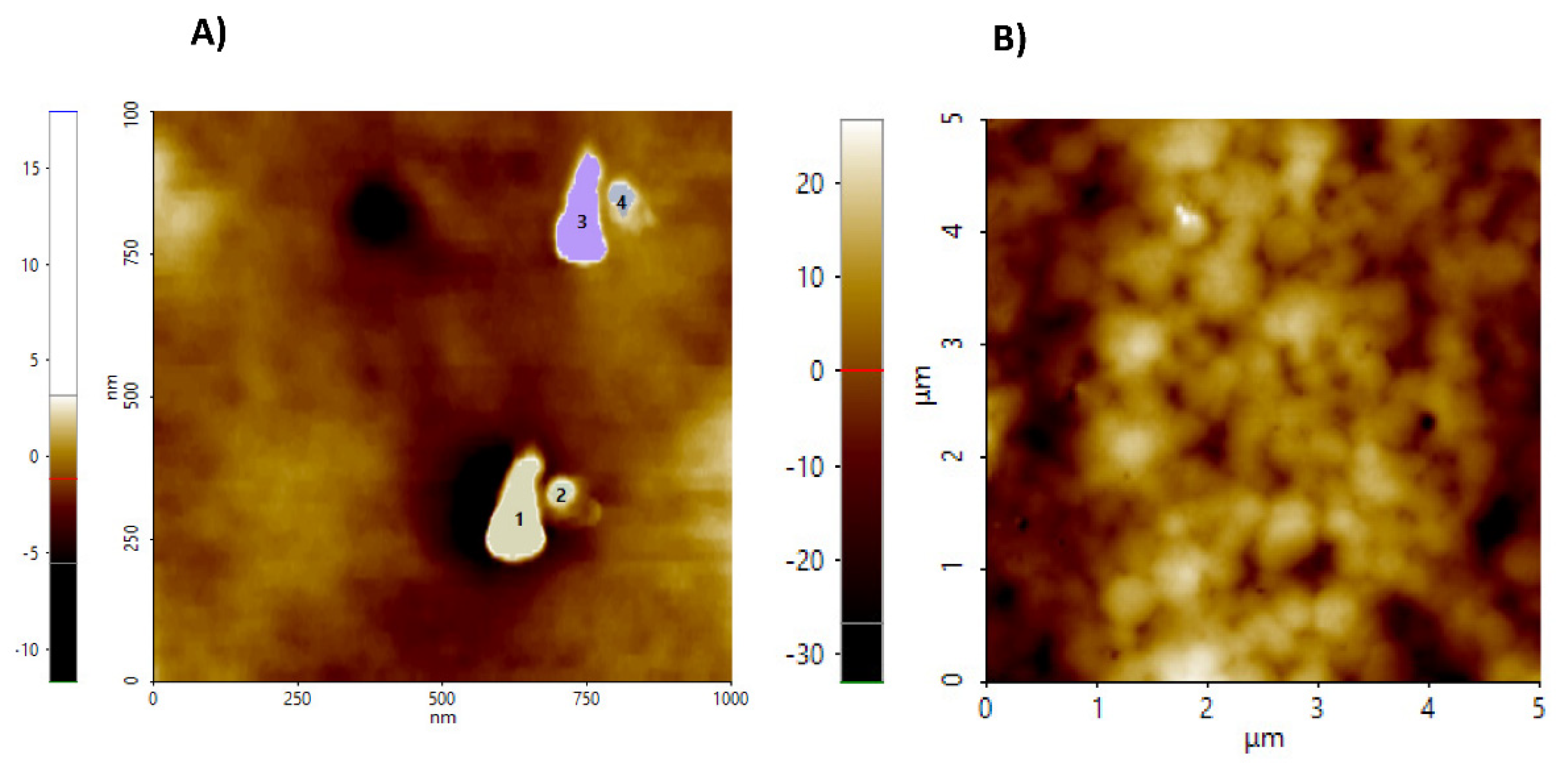 Ijms 23 10560 g003 550