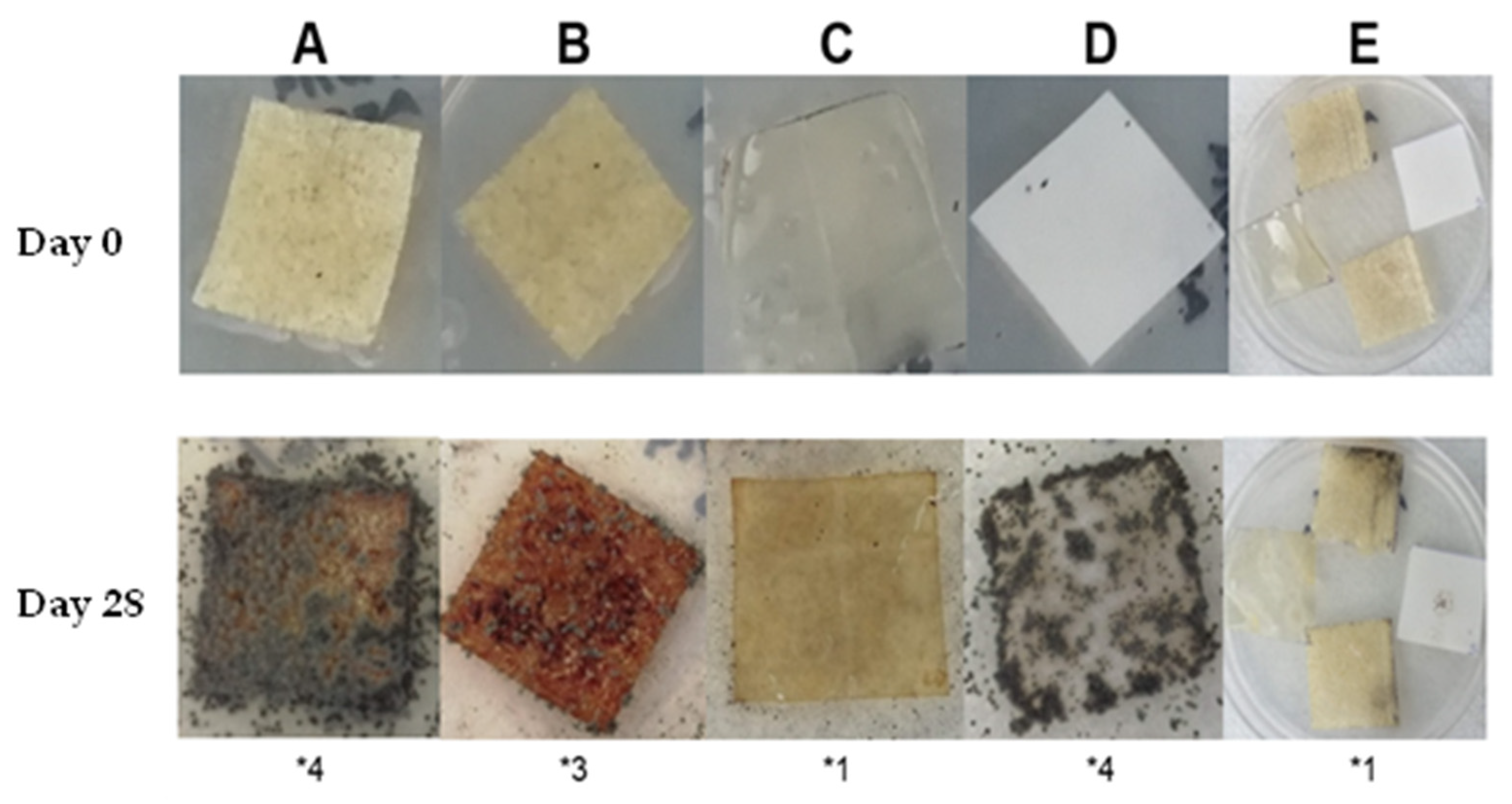 Ijms 23 10560 g005 550