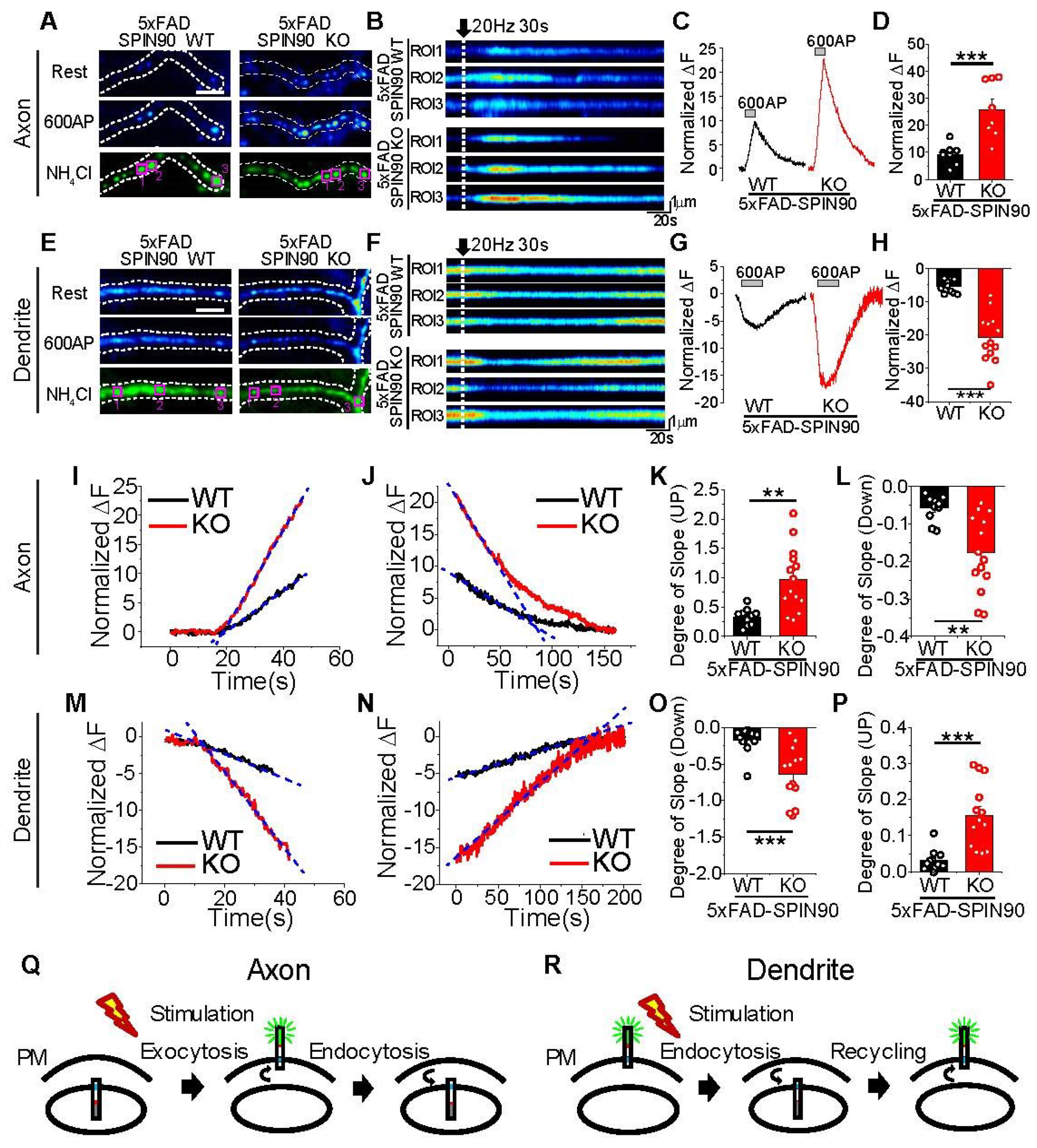 Ijms 23 10563 g003 550