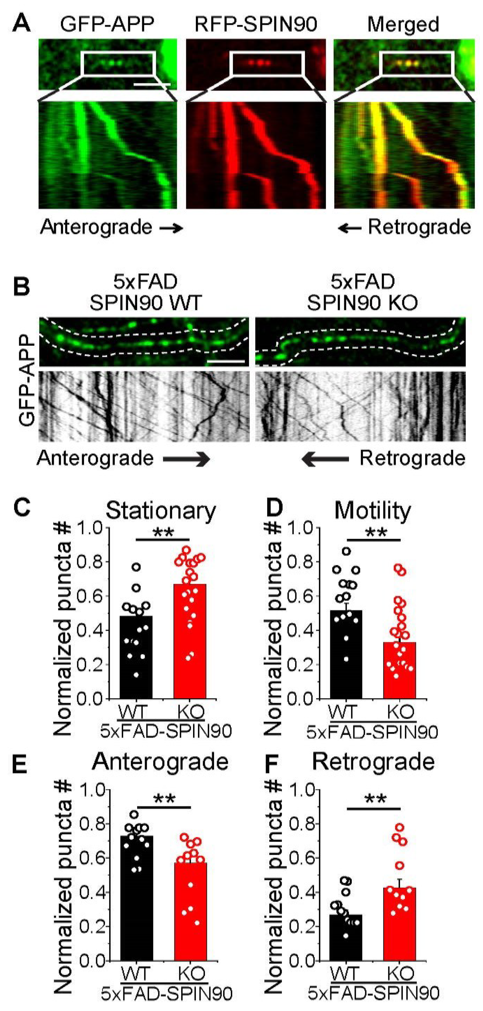 Ijms 23 10563 g004 550