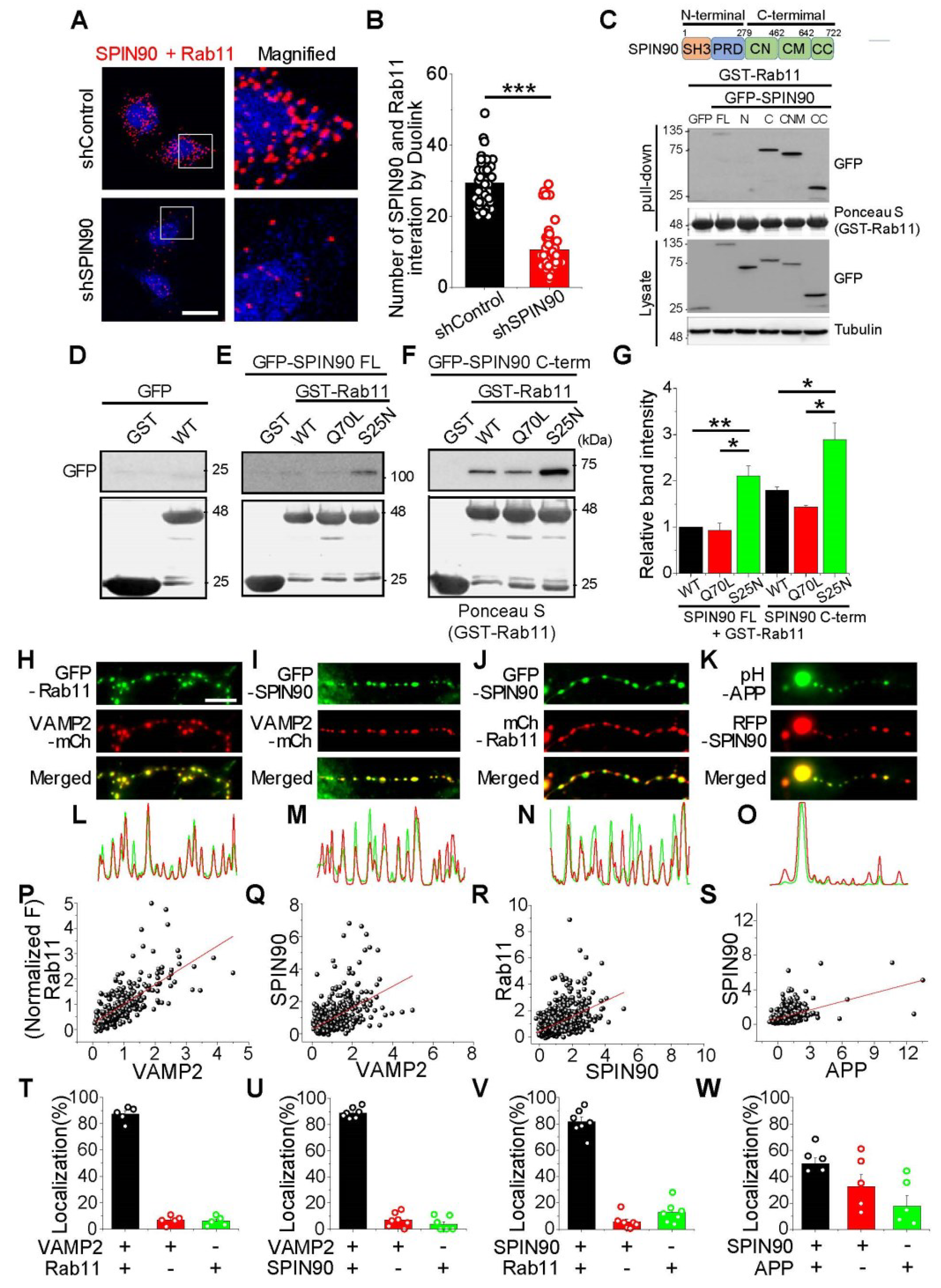 Ijms 23 10563 g006 550