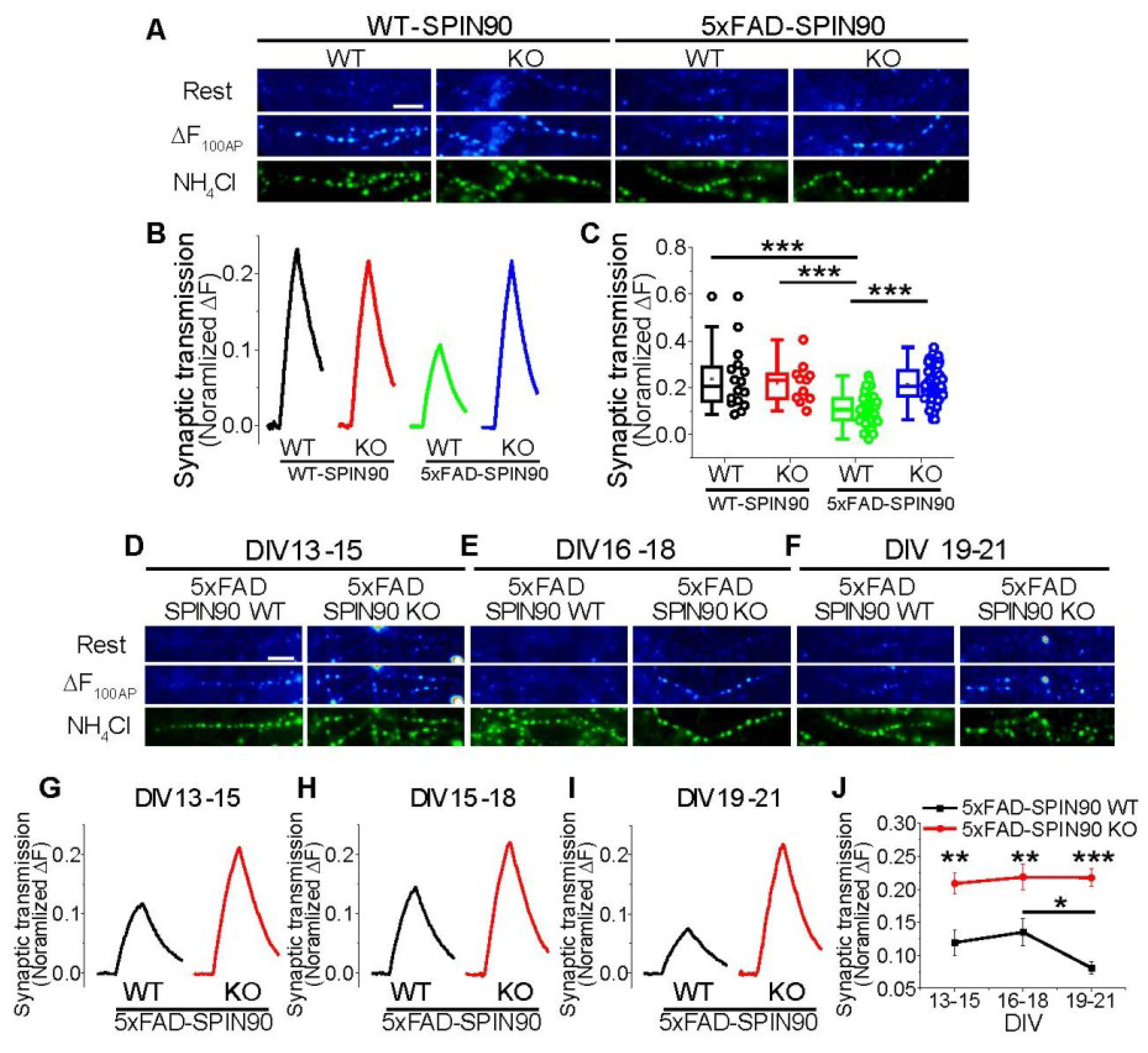 Ijms 23 10563 g007 550