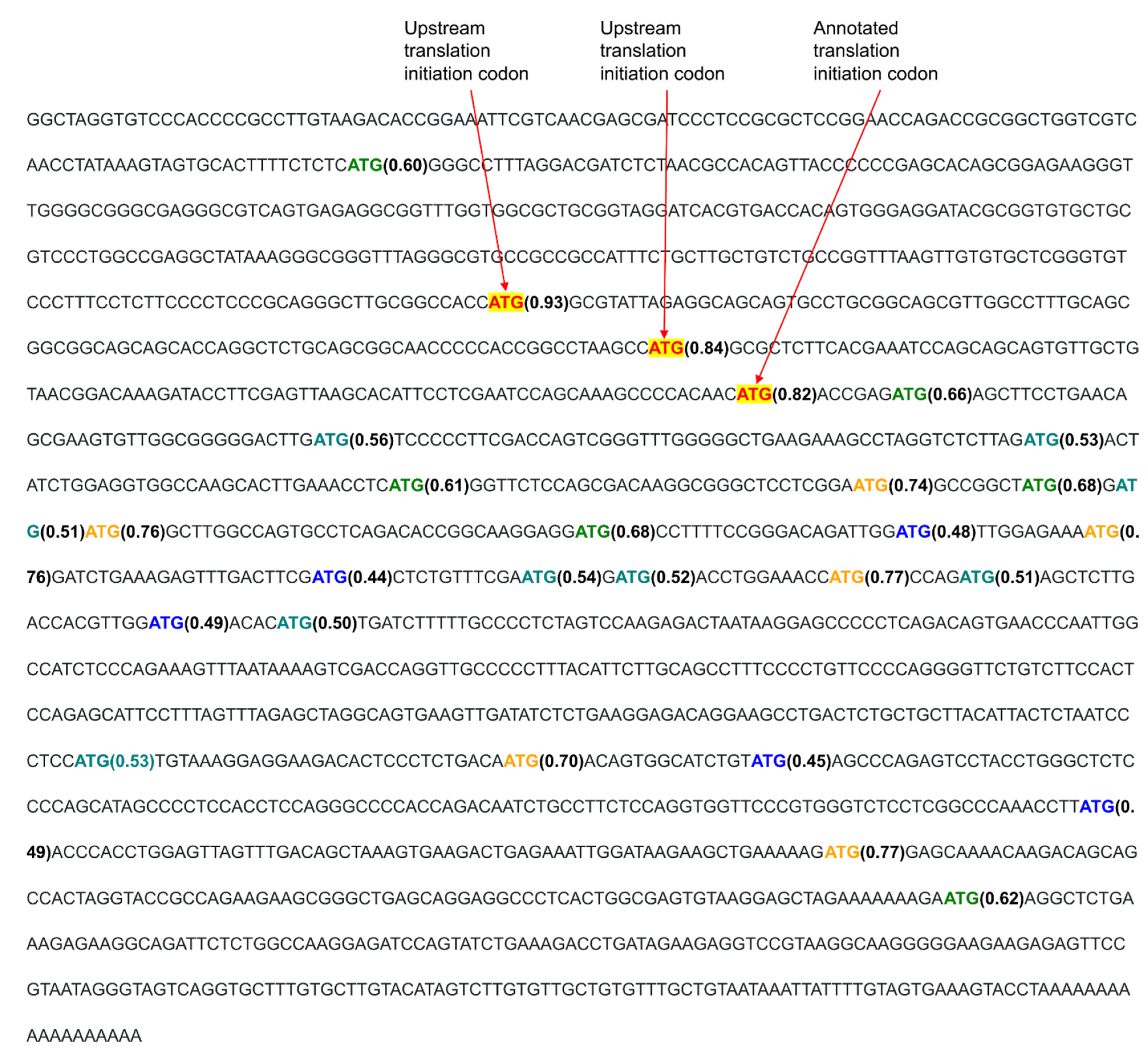 Ijms 23 10564 g007 550