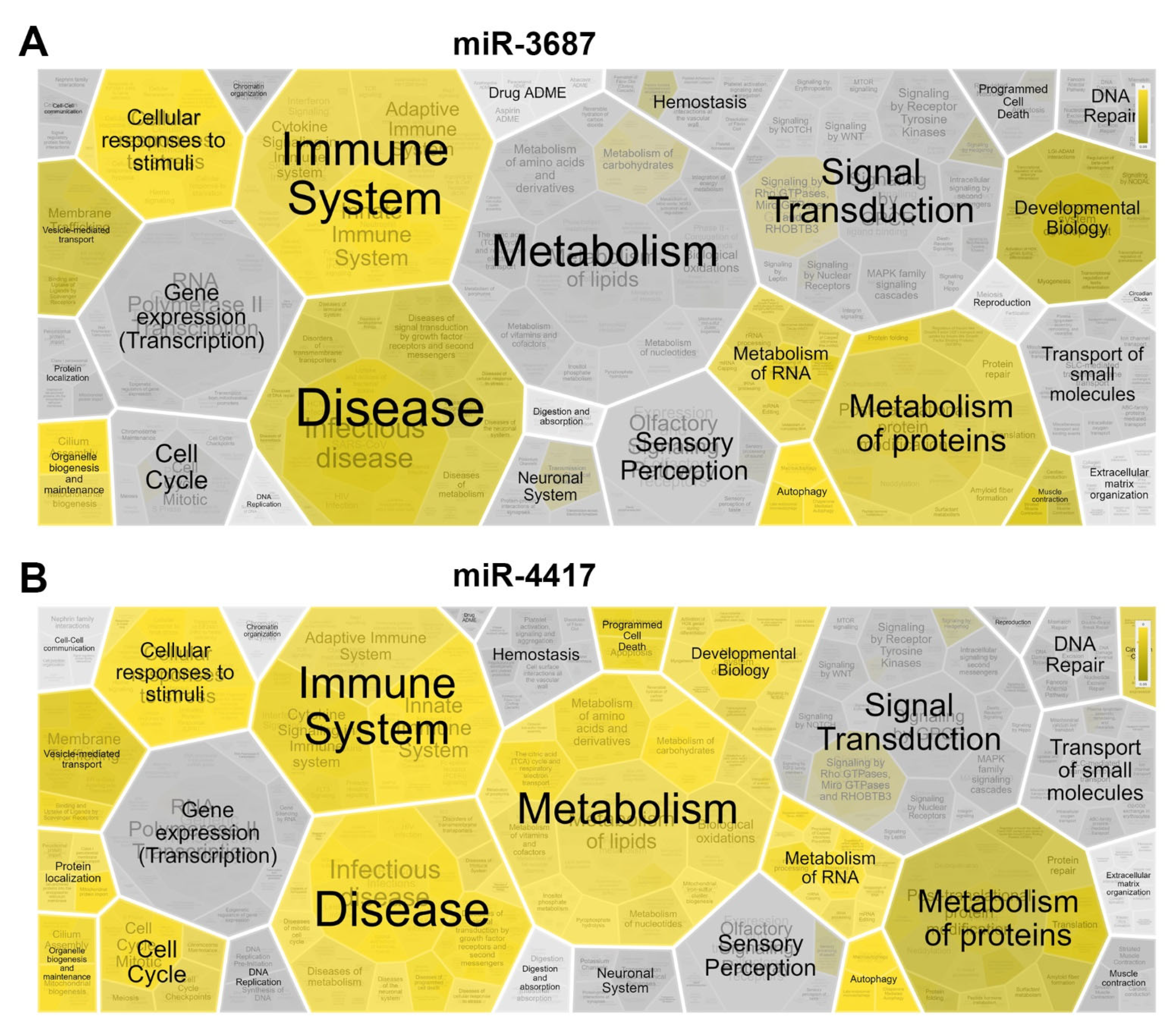 Ijms 23 10565 g006 Ijms 23 10565 g006