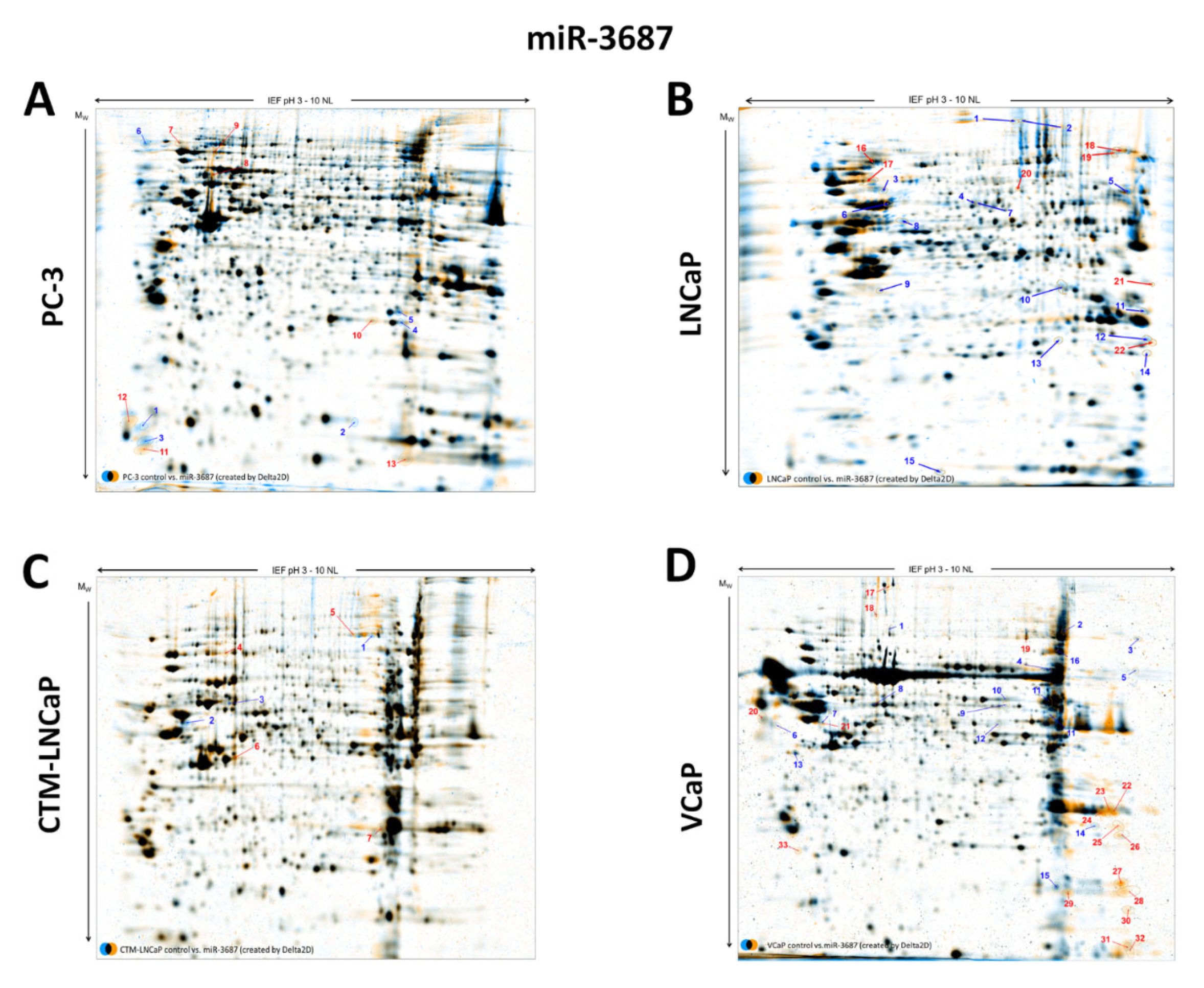 Ijms 23 10565 g0a1 Ijms 23 10565 g0a1