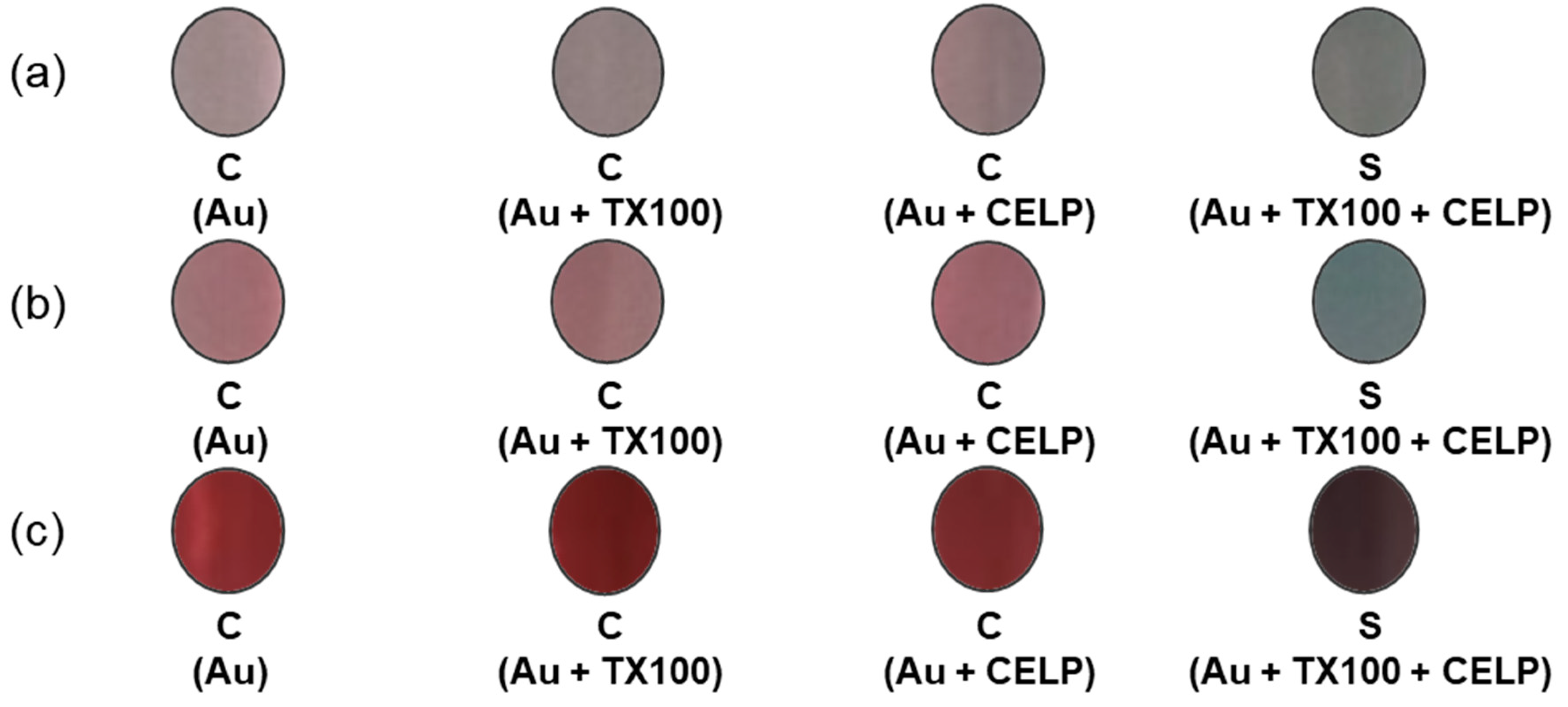 Ijms 23 10566 g003 550