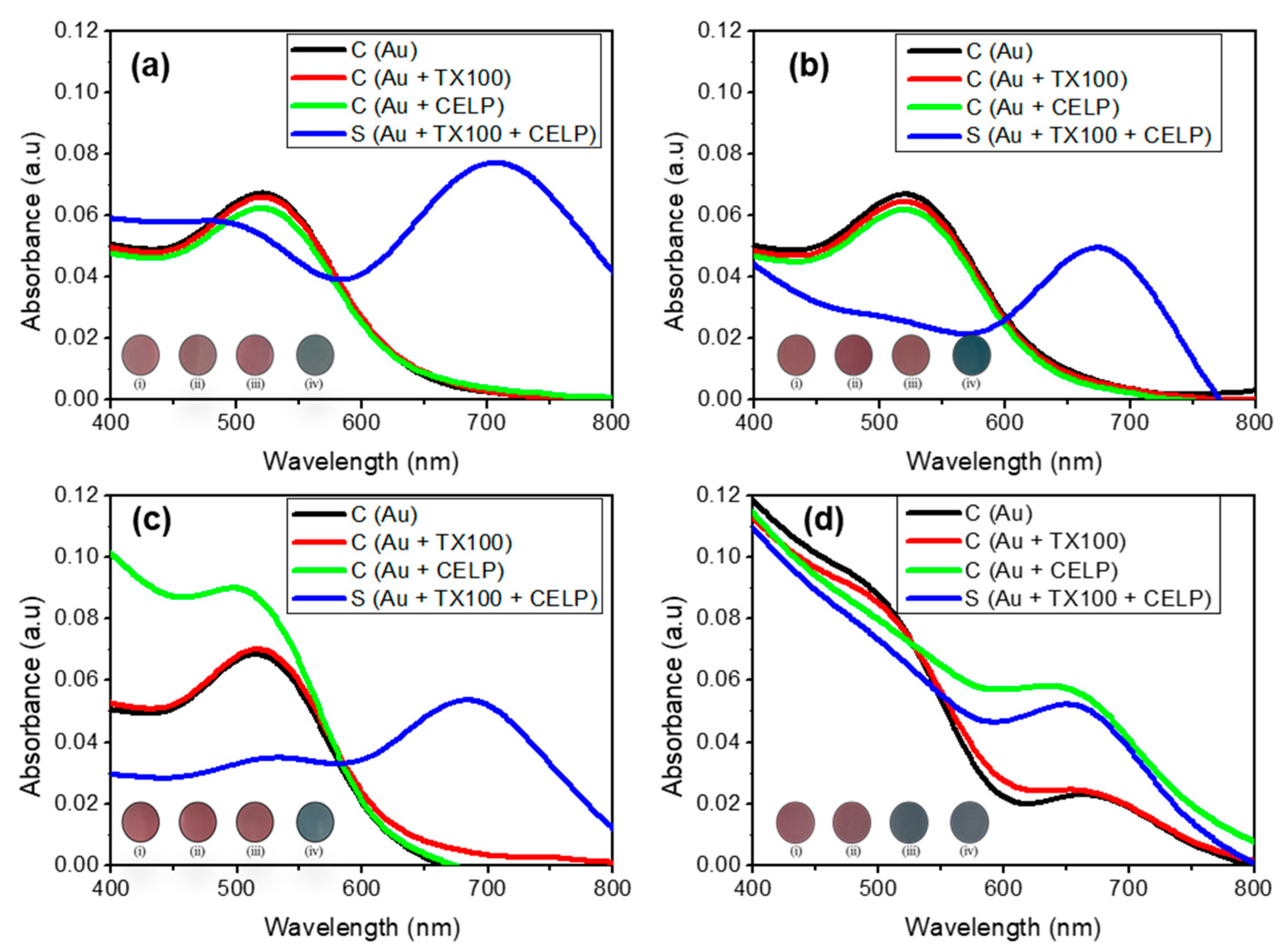 Ijms 23 10566 g004 550