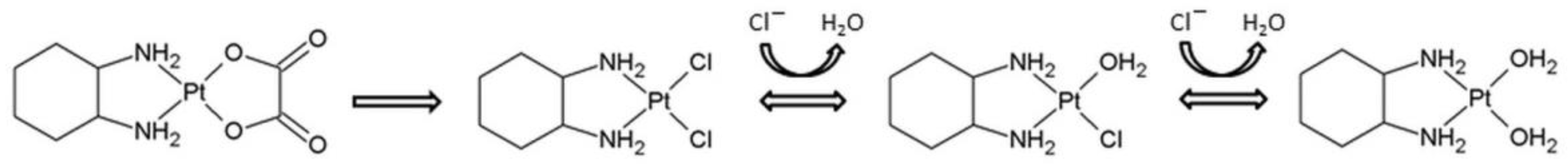 Ijms 23 10567 g003 550