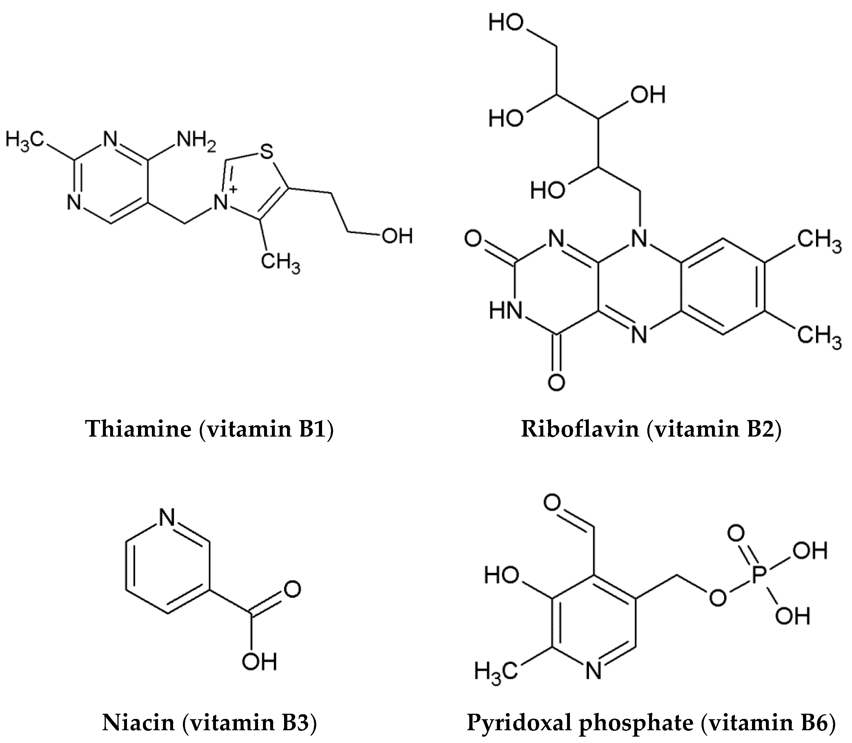 Ijms 23 10567 g004 550