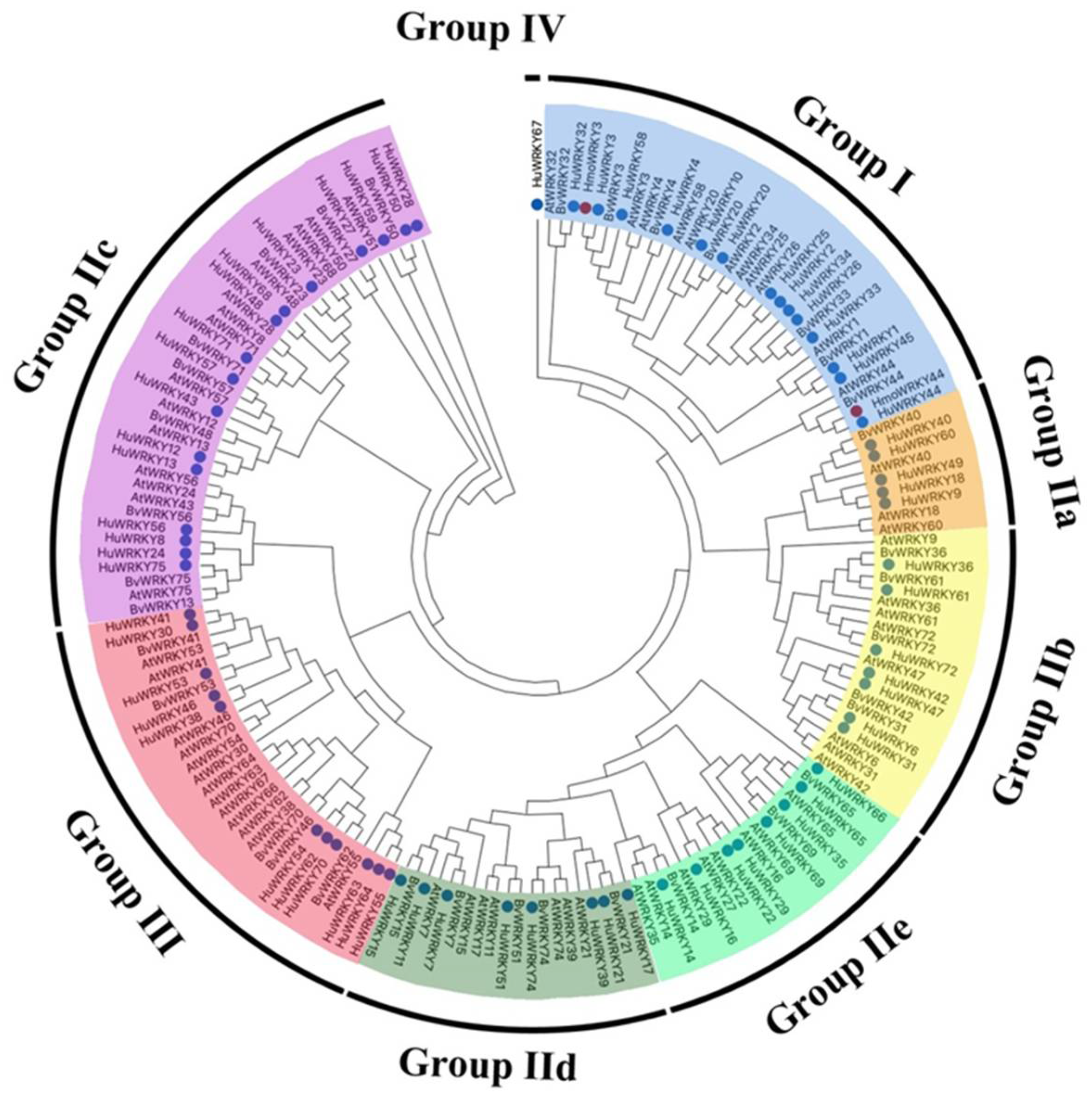 Ijms 23 10568 g001 550