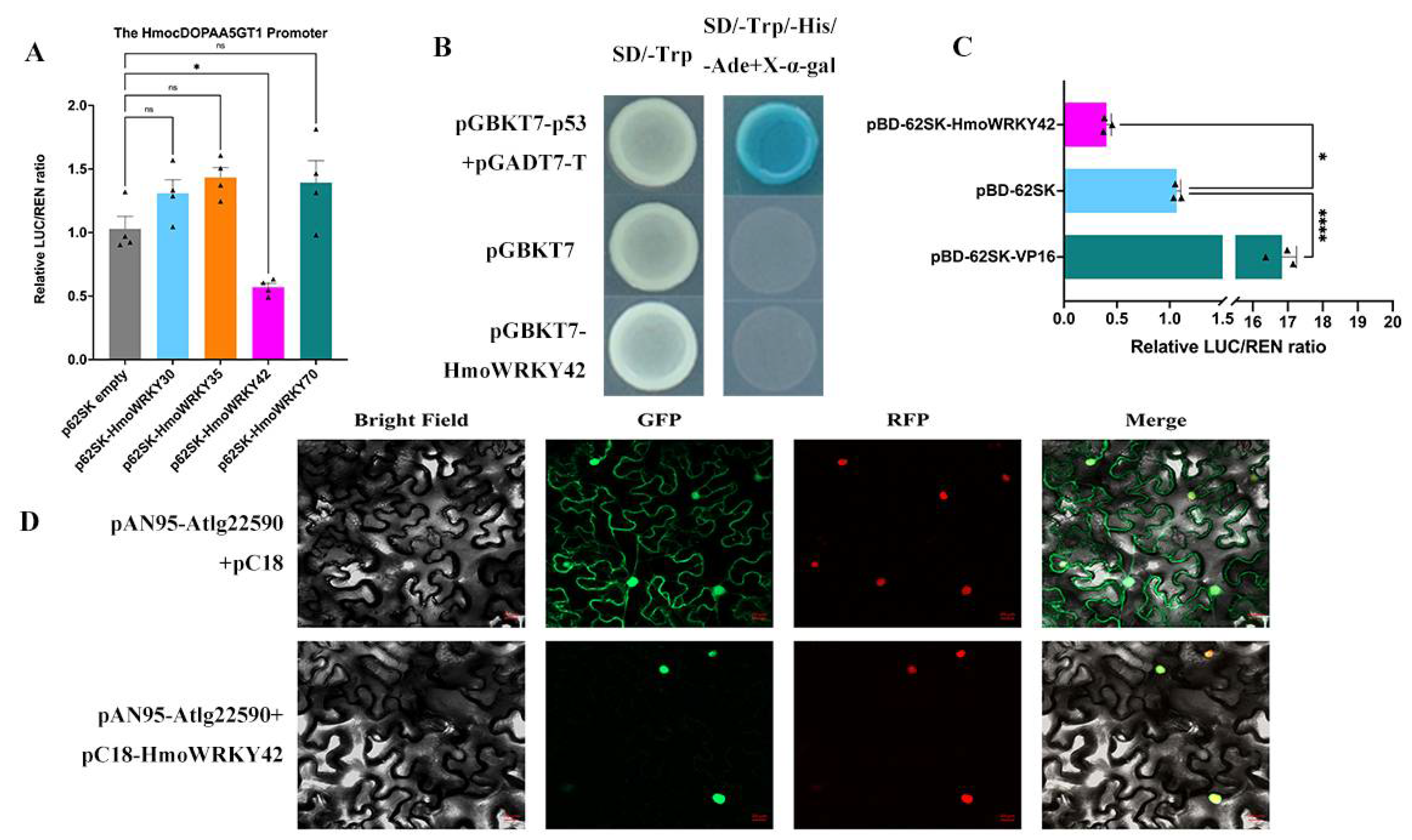 Ijms 23 10568 g006 550