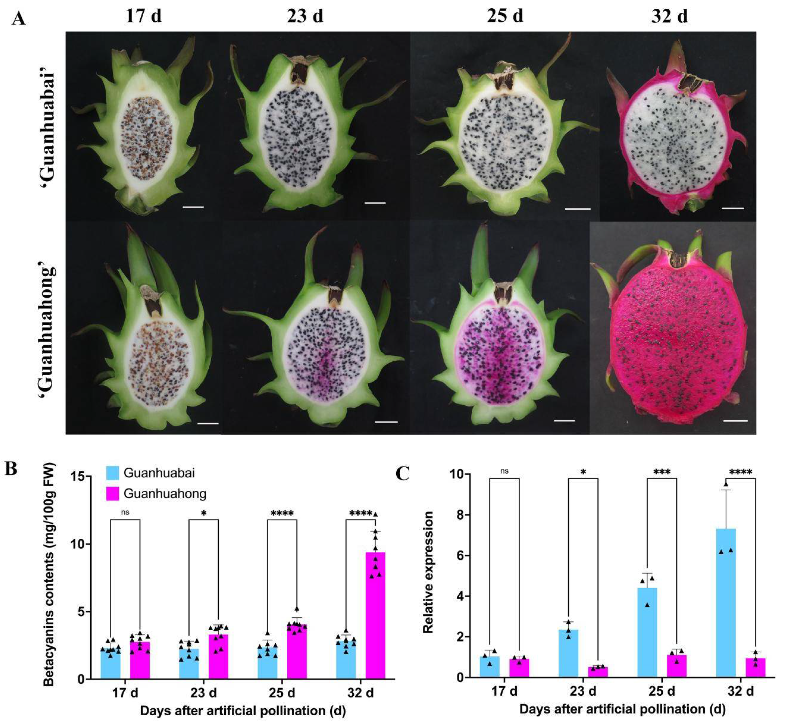 Ijms 23 10568 g007 550