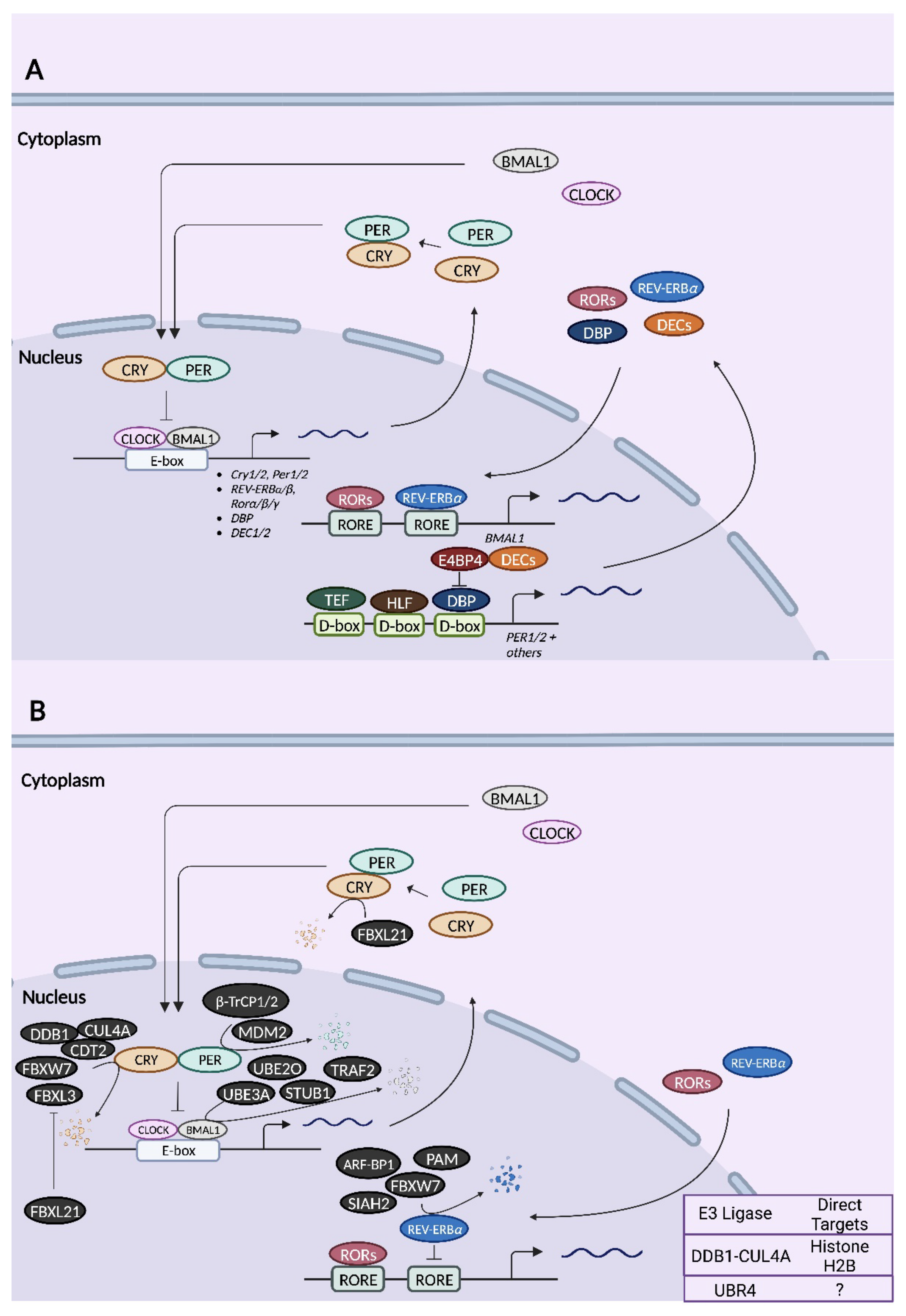 Ijms 23 10569 g002 Ijms 23 10569 g002