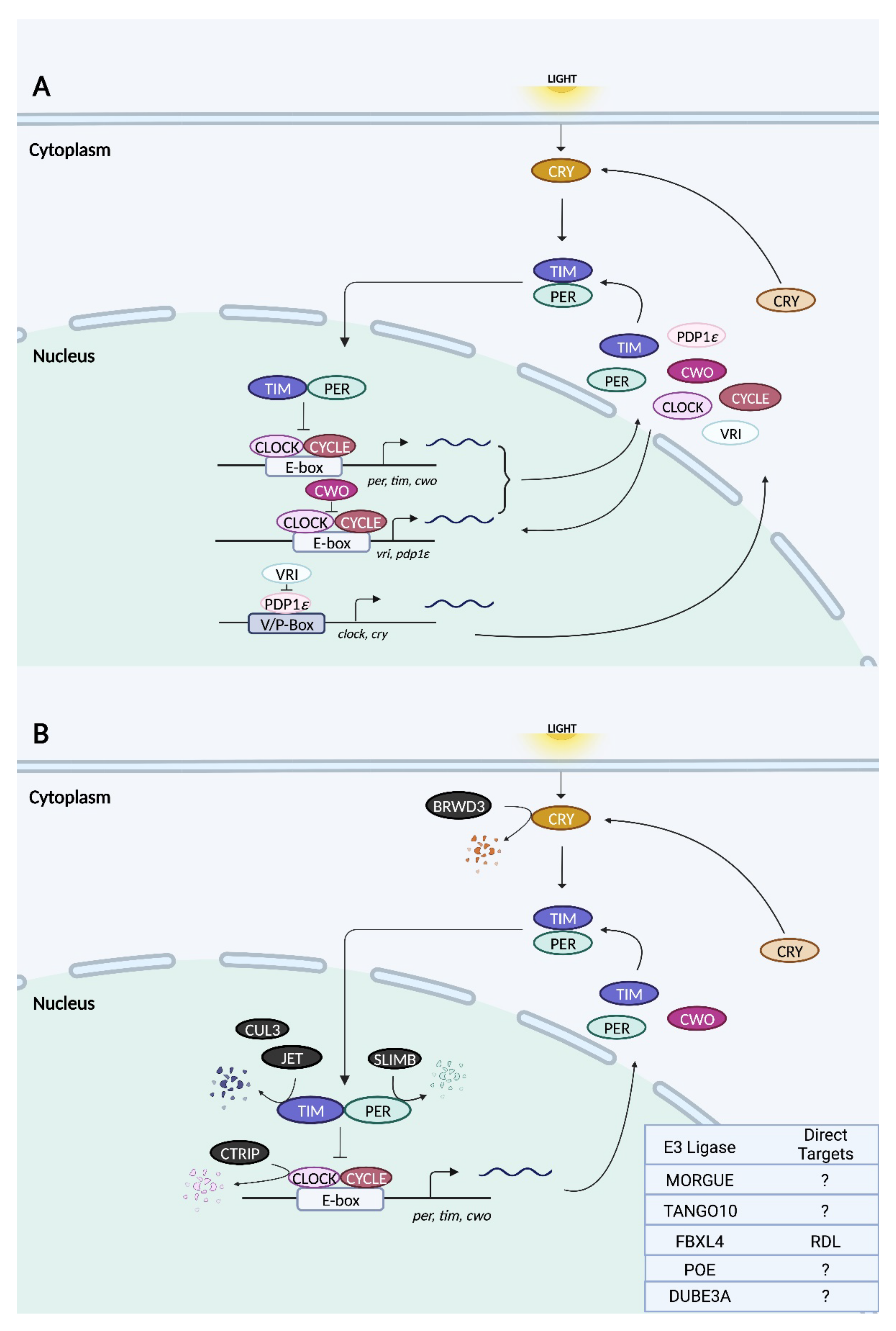 Ijms 23 10569 g003 Ijms 23 10569 g003