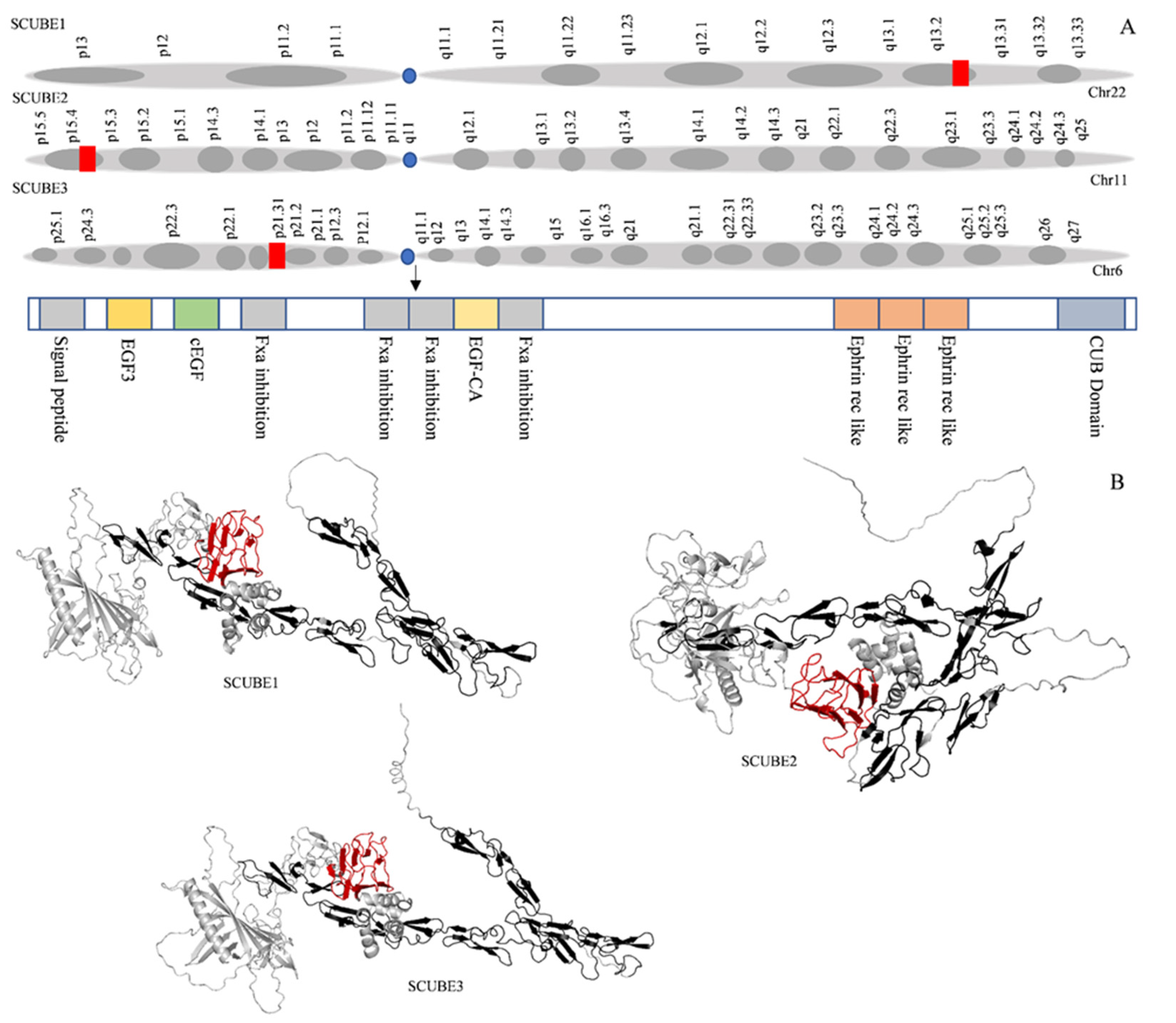 Ijms 23 10577 g001 Ijms 23 10577 g001
