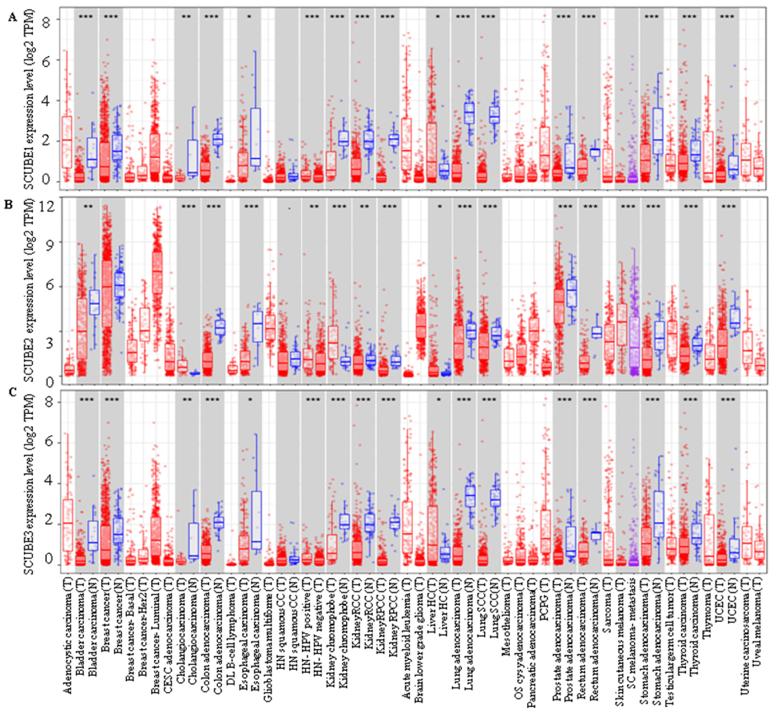 Ijms 23 10577 g002 Ijms 23 10577 g002