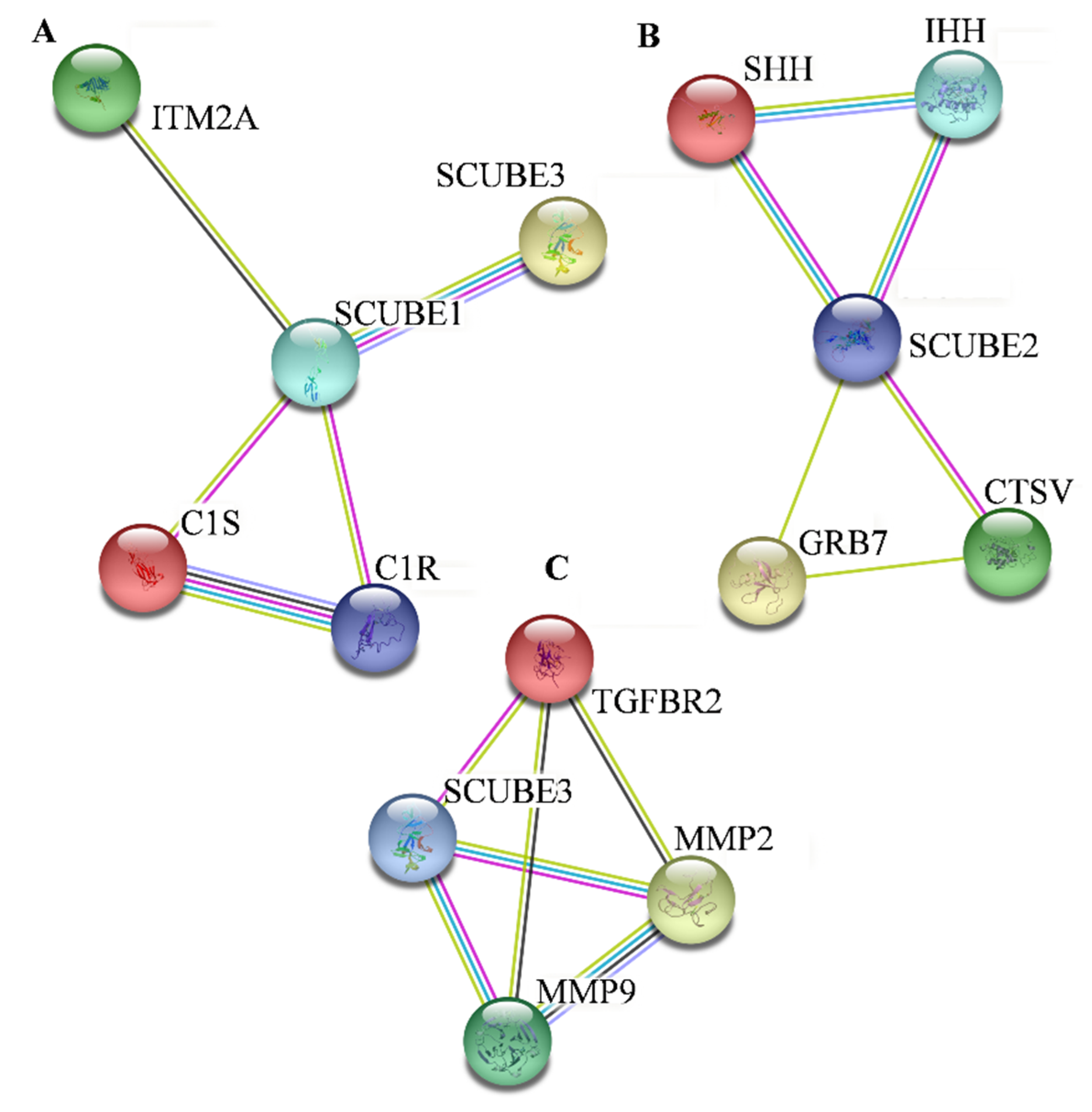 Ijms 23 10577 g004 Ijms 23 10577 g004