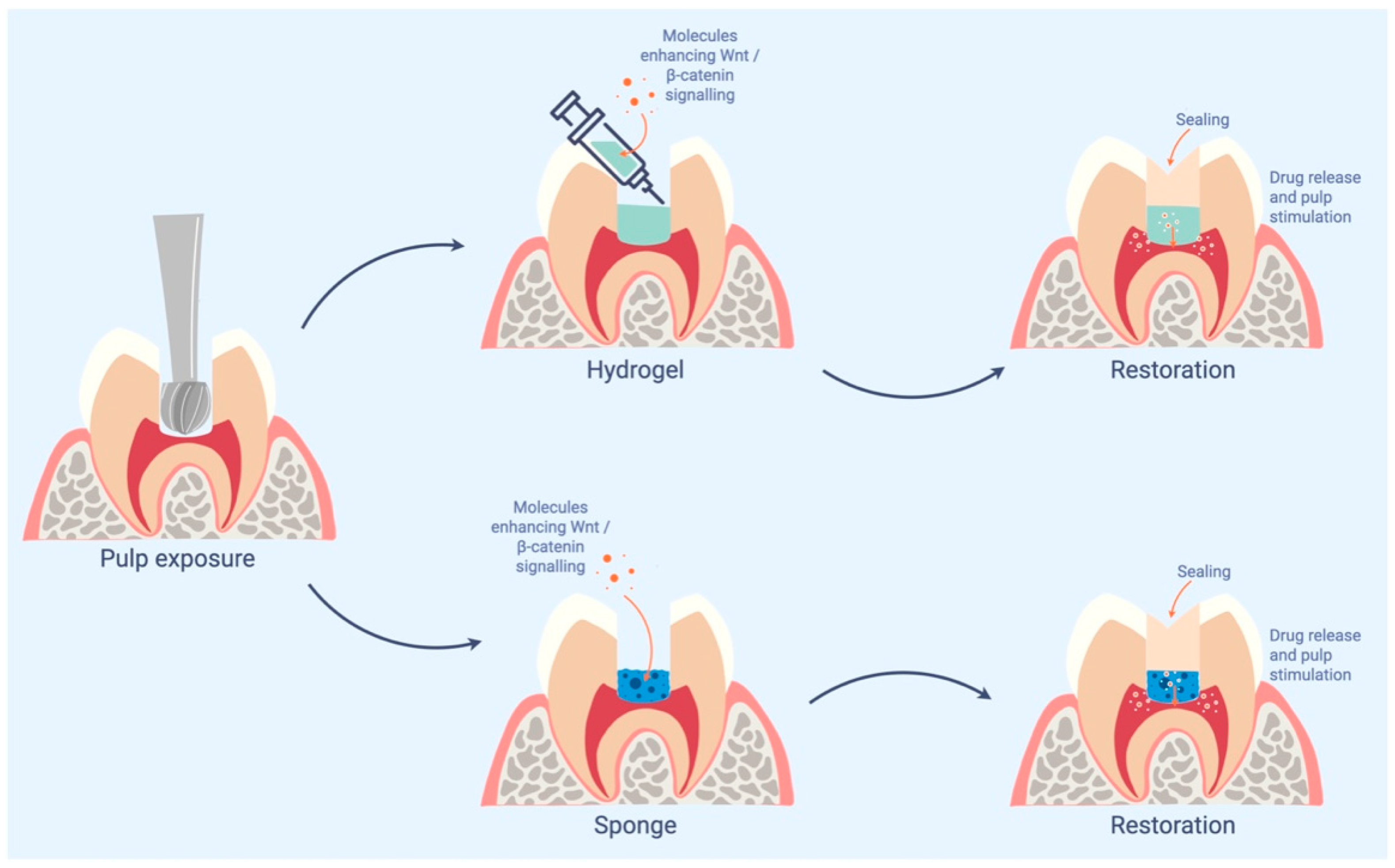 Ijms 23 10582 g002 Ijms 23 10582 g002