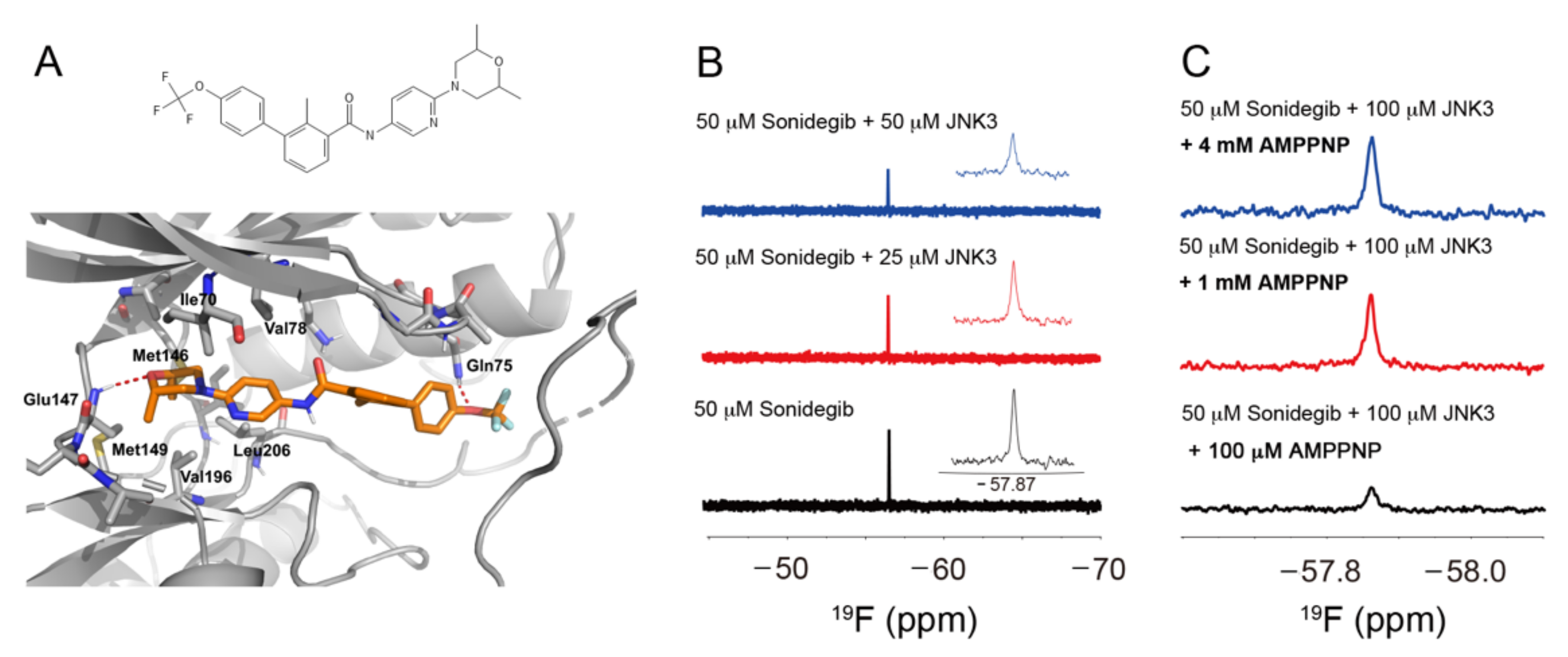 Ijms 23 10590 g001 550