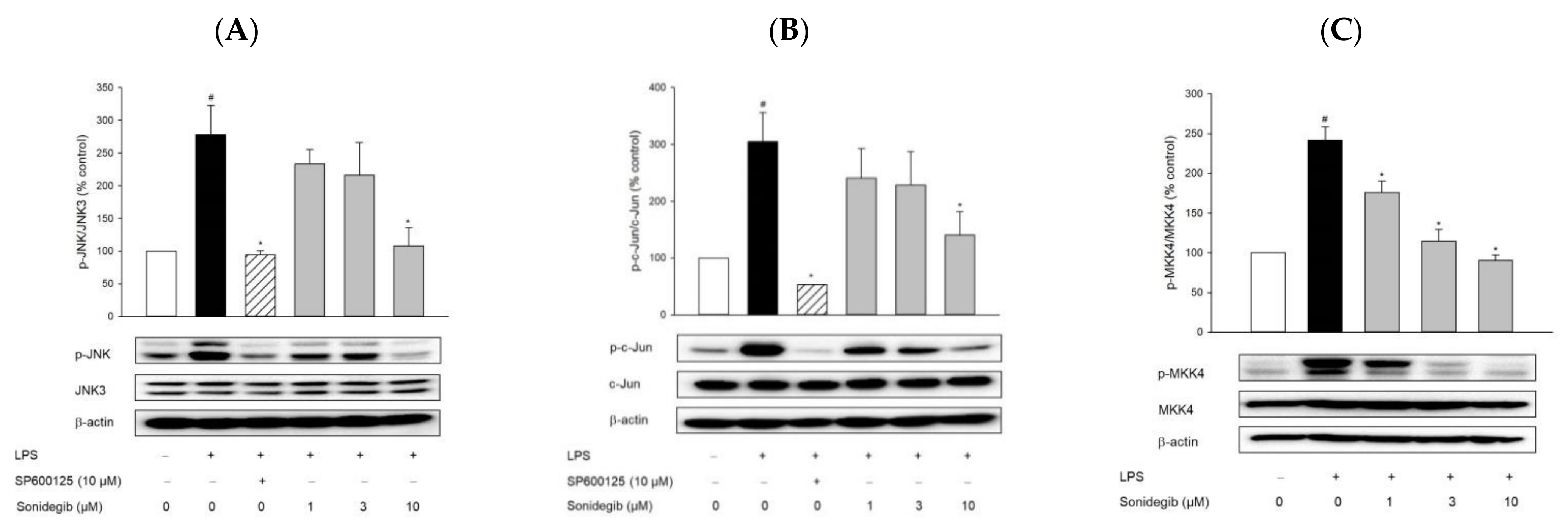 Ijms 23 10590 g002 550
