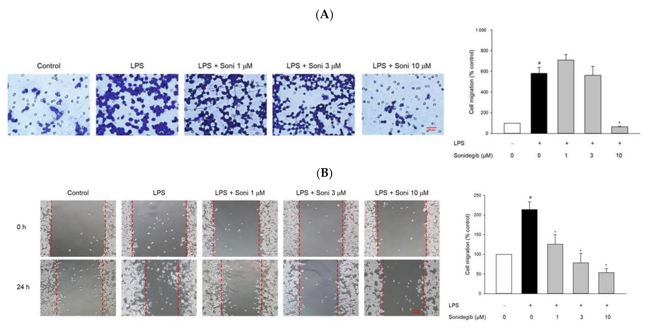 Ijms 23 10590 g003 550