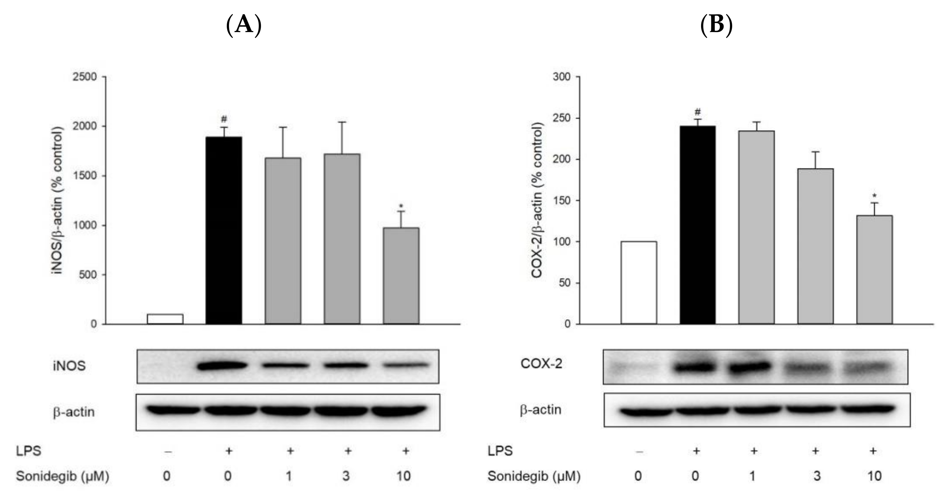 Ijms 23 10590 g005 550