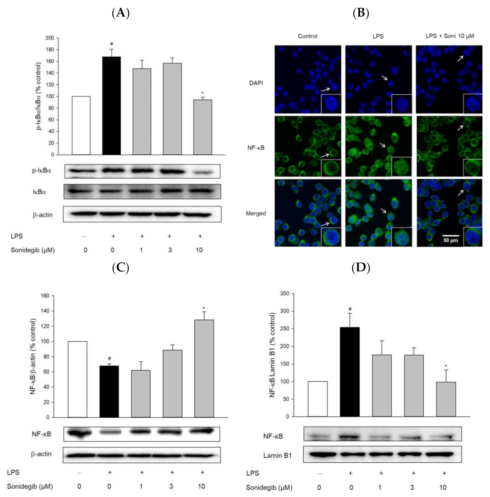 Ijms 23 10590 g006 550