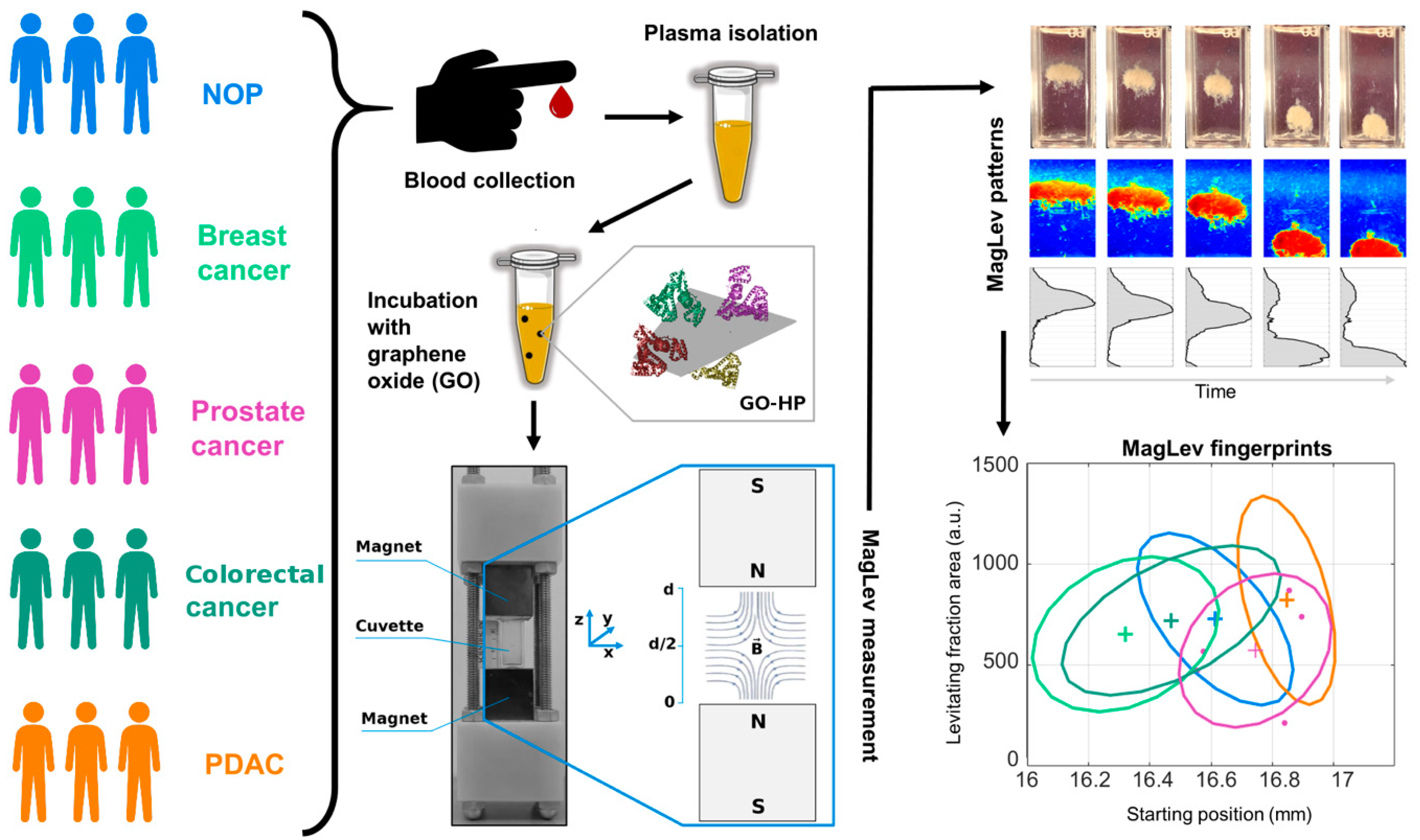 Ijms 23 10591 g004 550