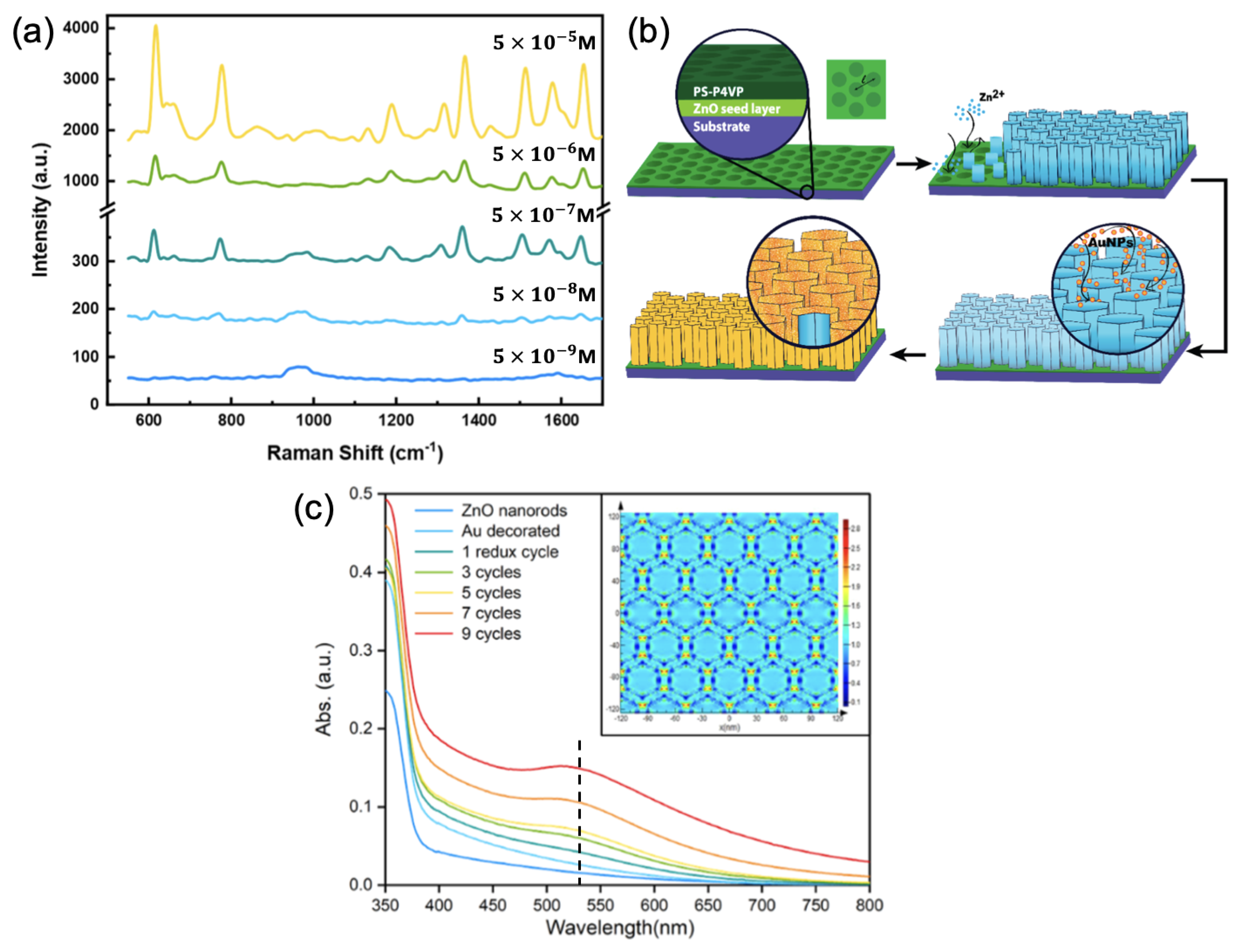 Ijms 23 10592 g001 550