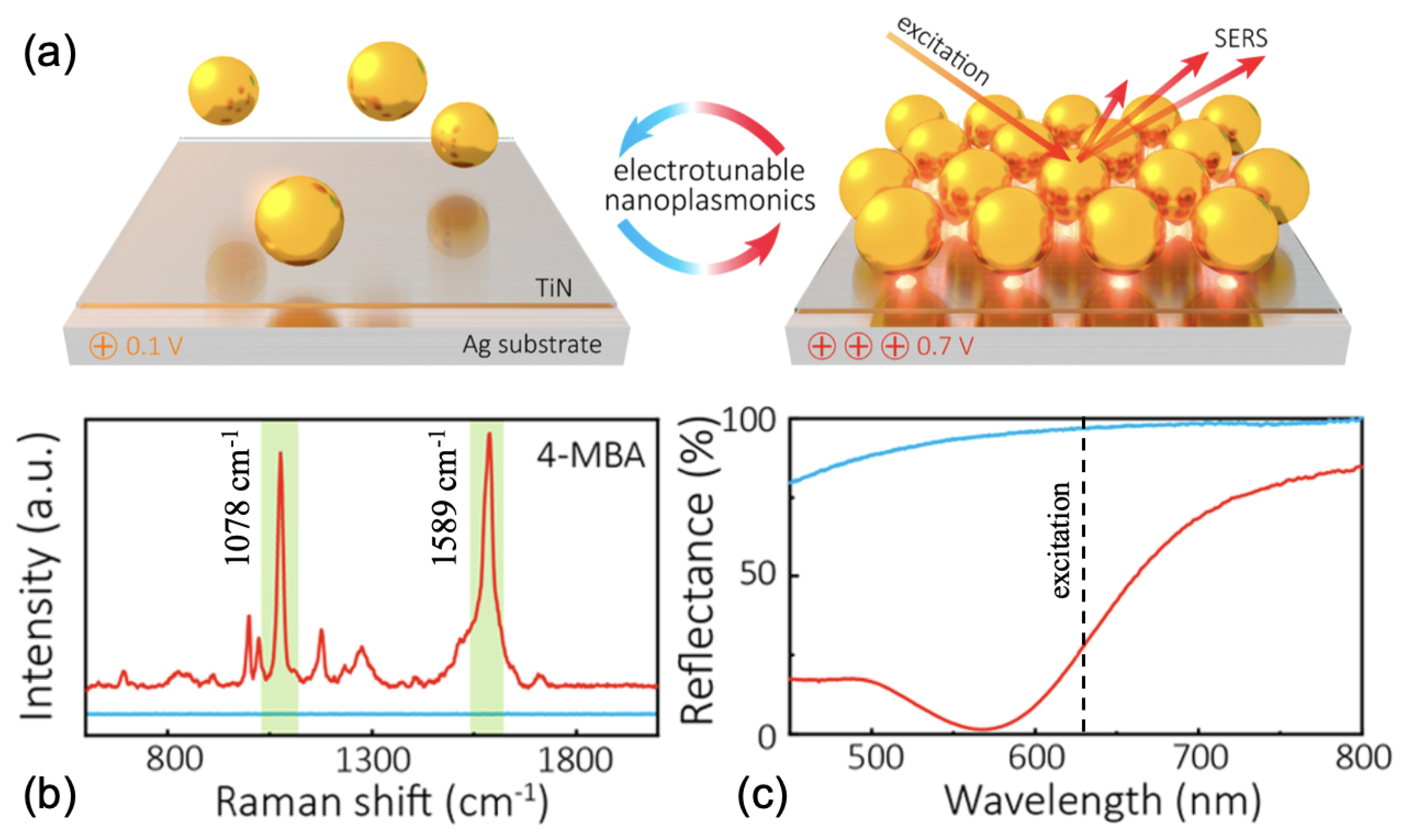 Ijms 23 10592 g002 550