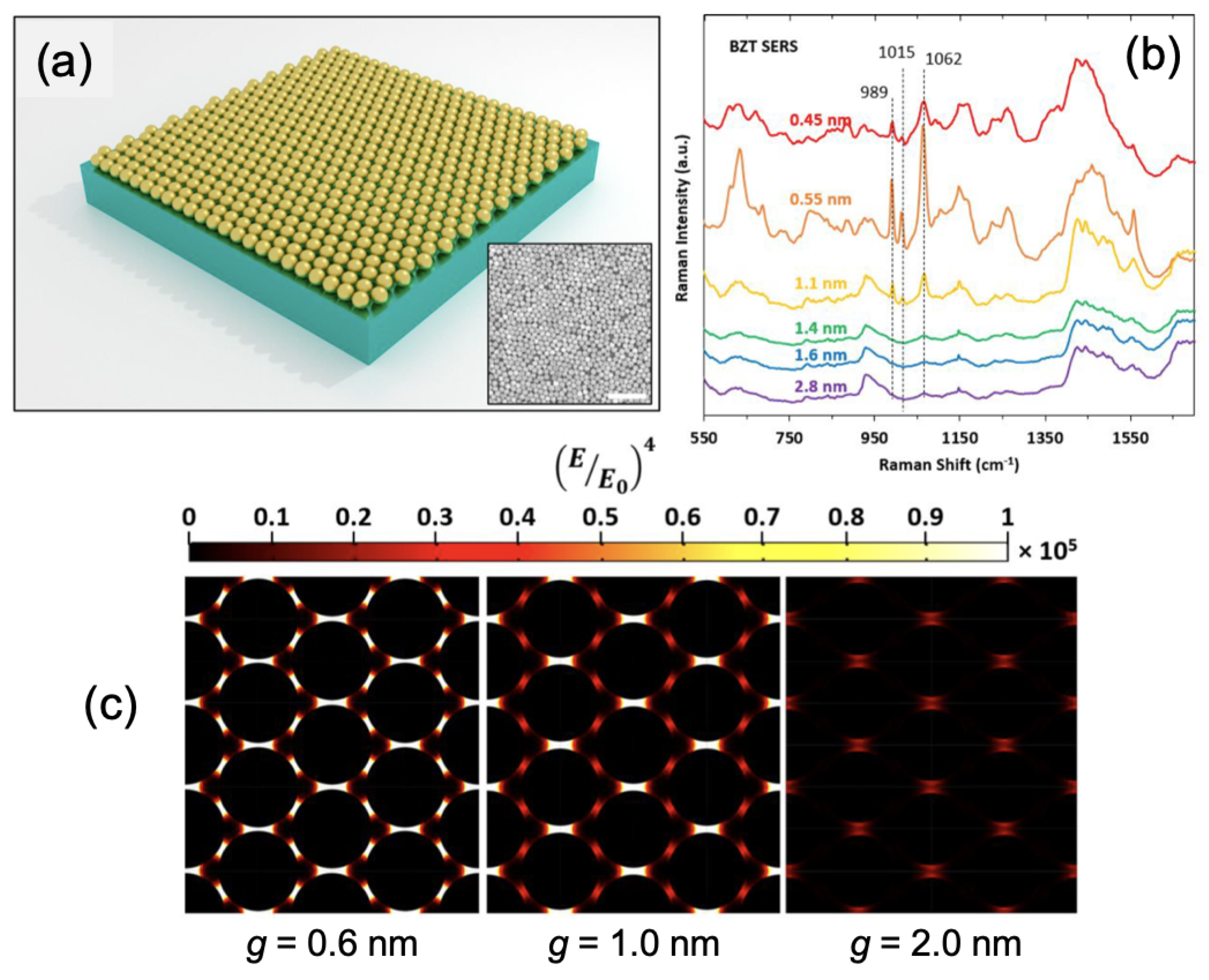 Ijms 23 10592 g003 550