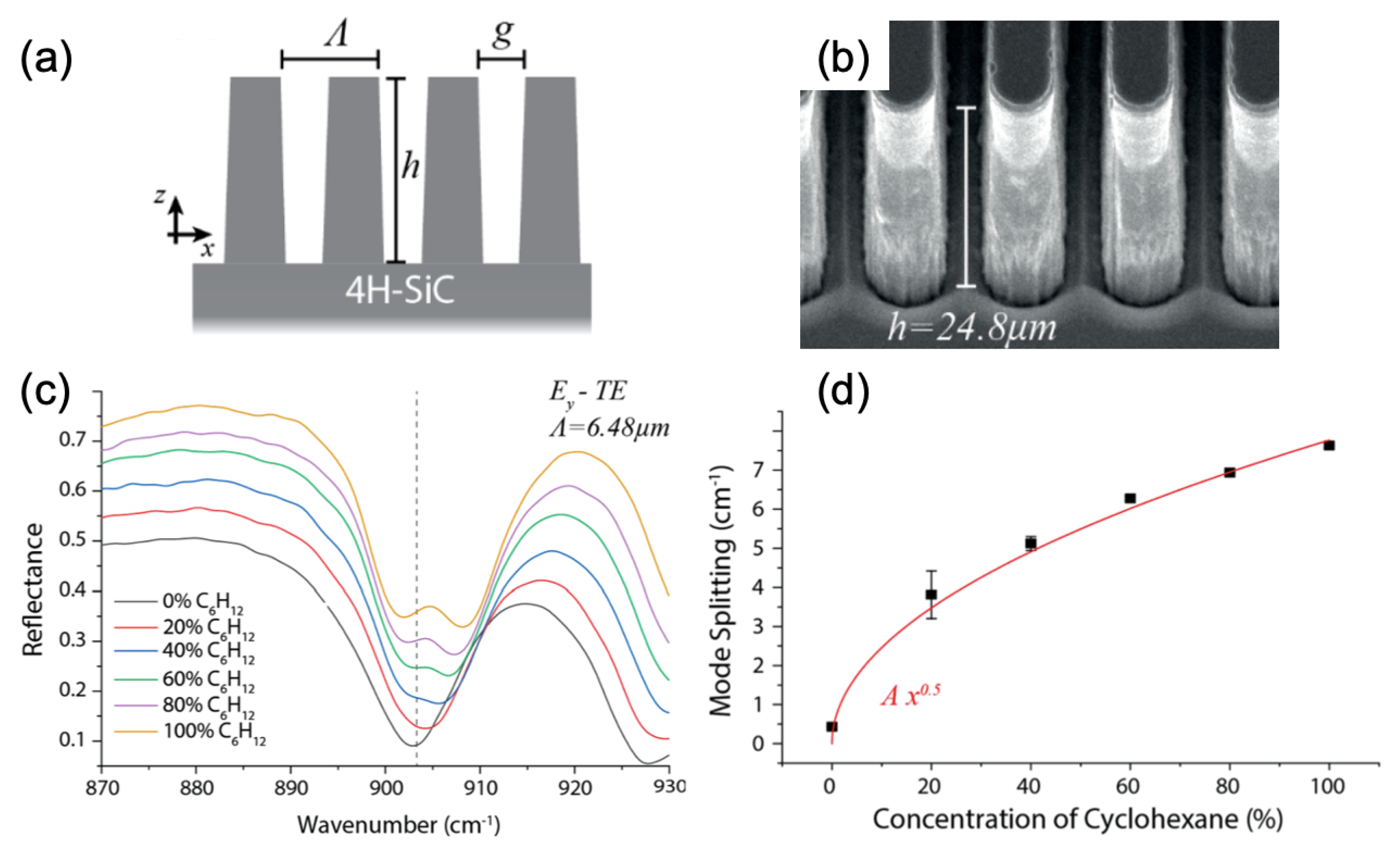 Ijms 23 10592 g005 550