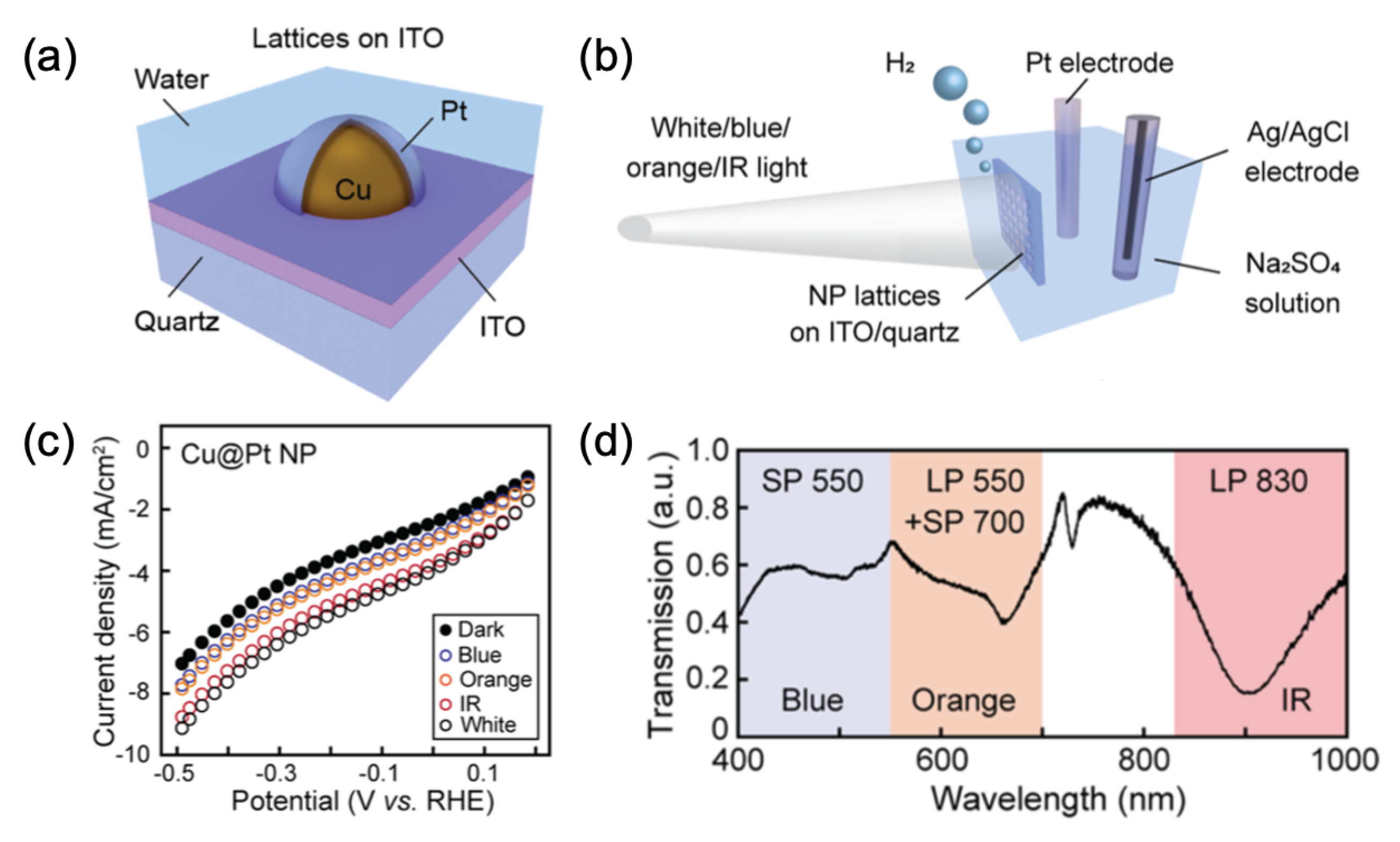 Ijms 23 10592 g007 550