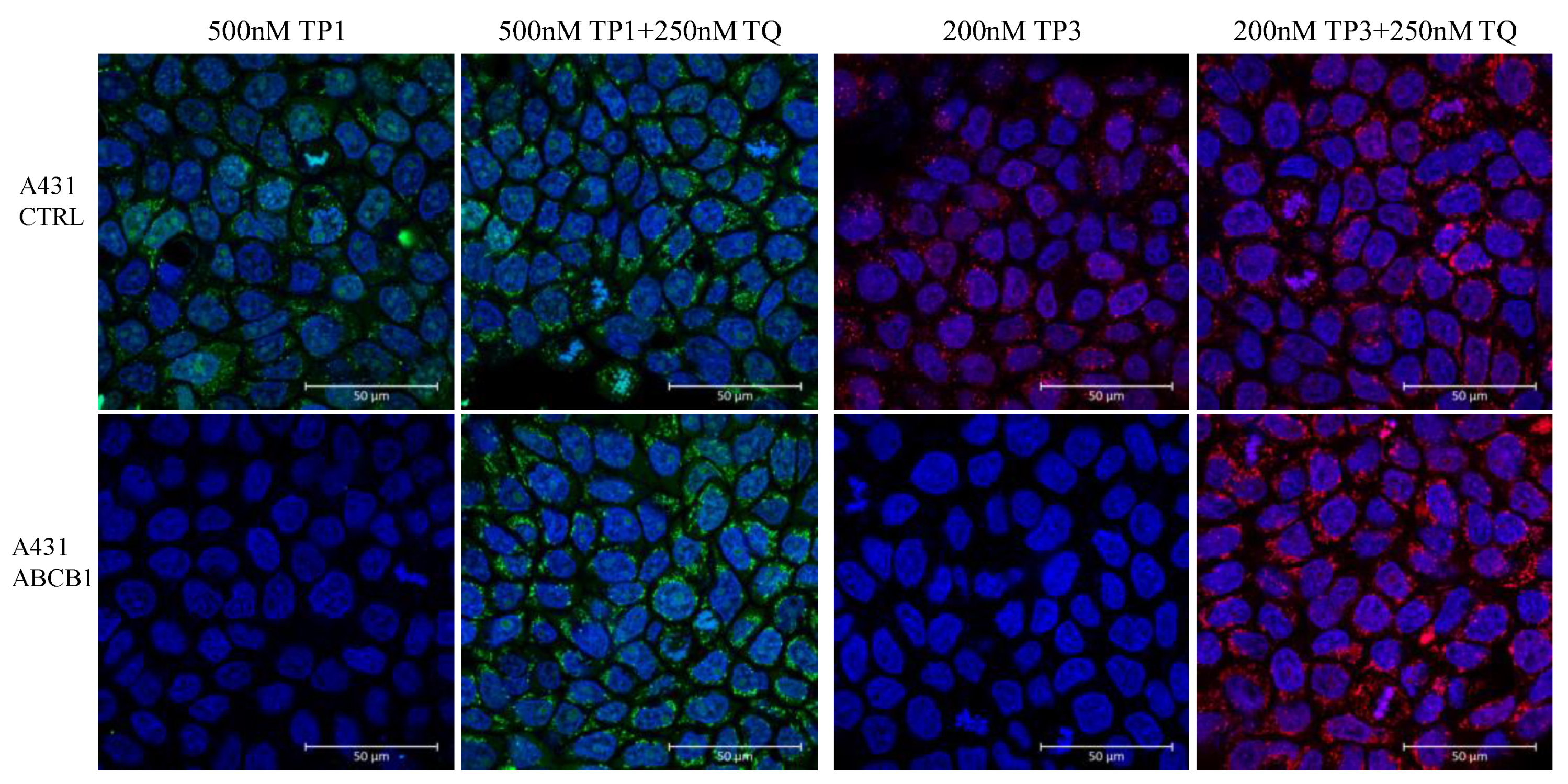 Ijms 23 10599 g005 550