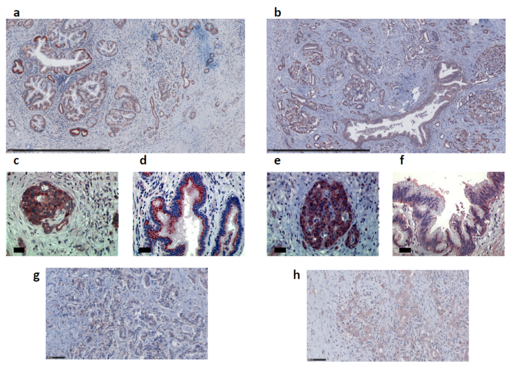 Ijms 23 10600 g002 Ijms 23 10600 g002