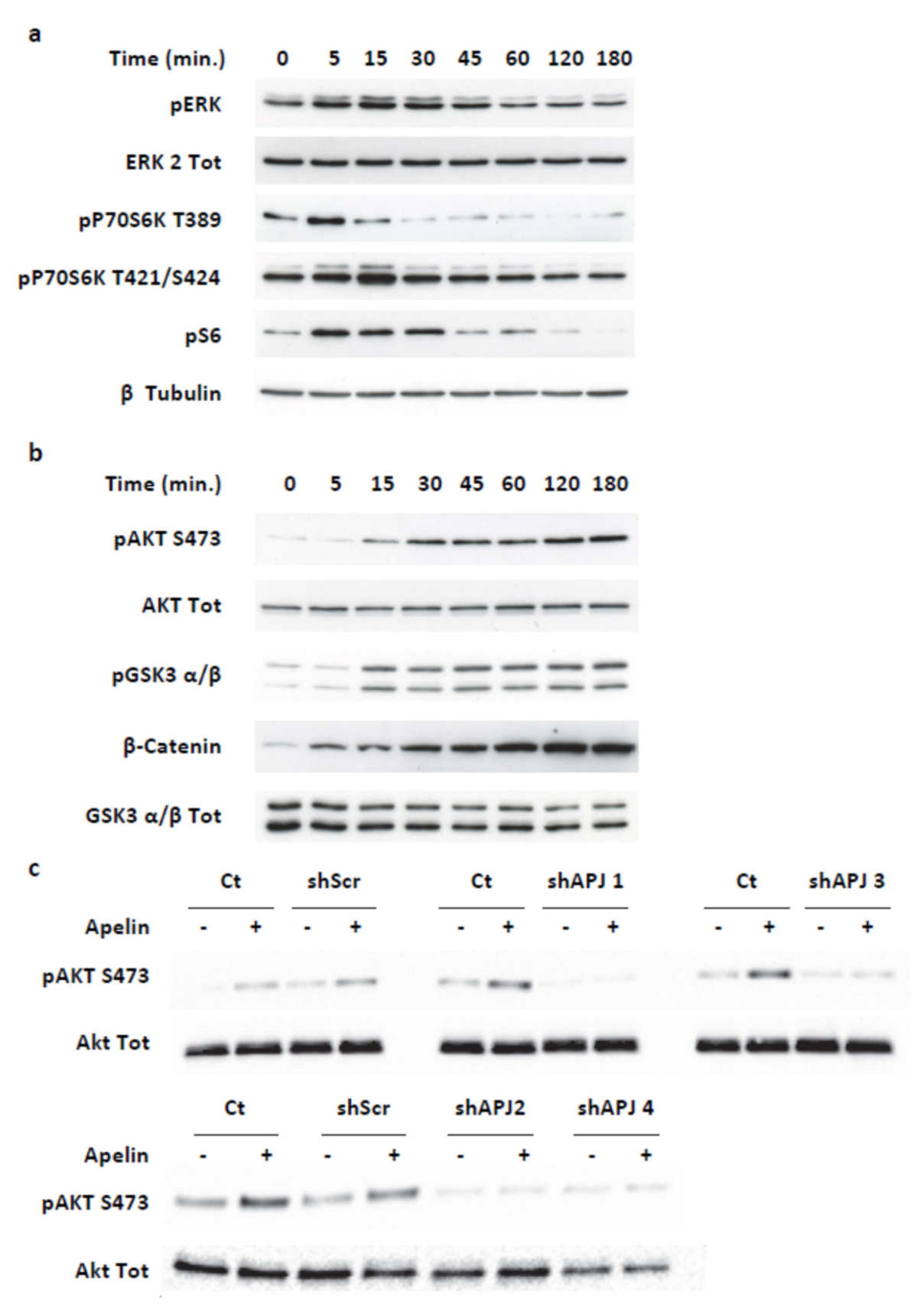 Ijms 23 10600 g004 Ijms 23 10600 g004
