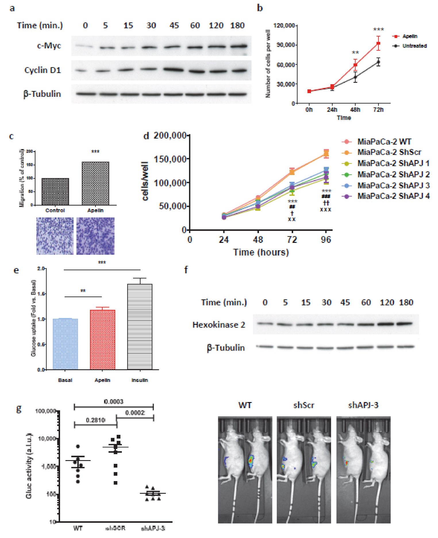 Ijms 23 10600 g006 Ijms 23 10600 g006