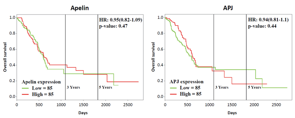 Ijms 23 10600 g0a3 Ijms 23 10600 g0a3
