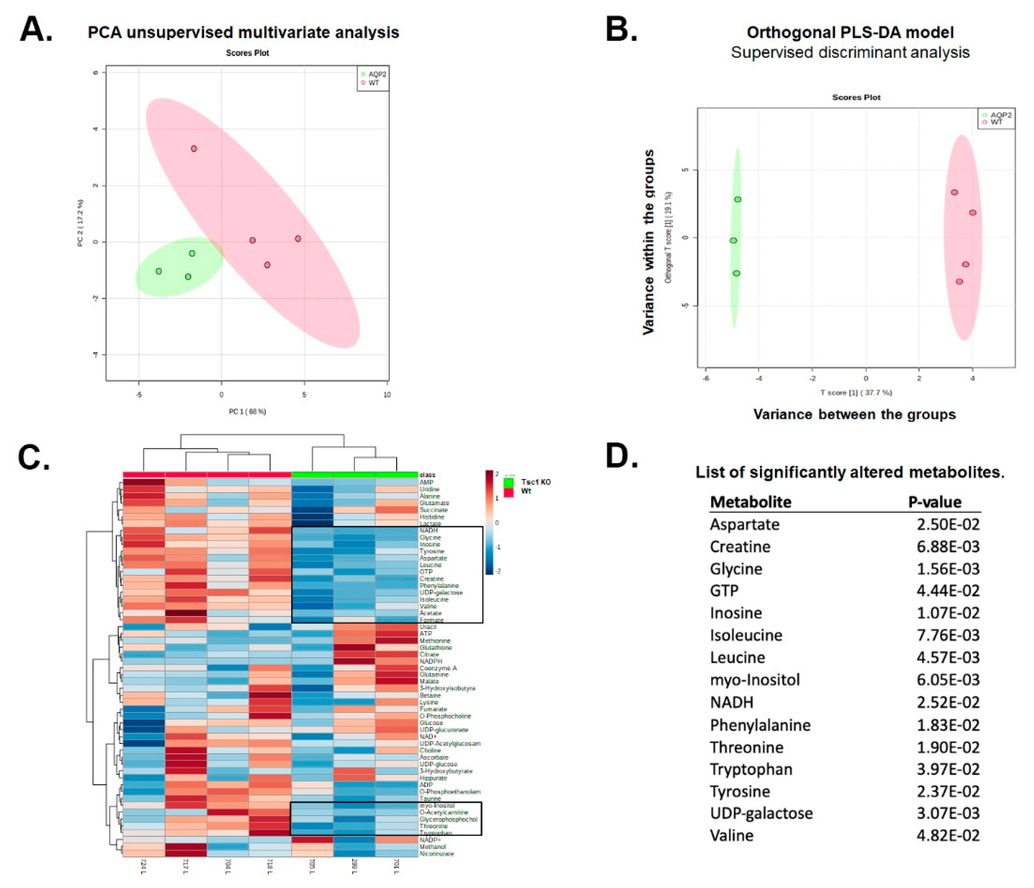 Ijms 23 10601 g002 550