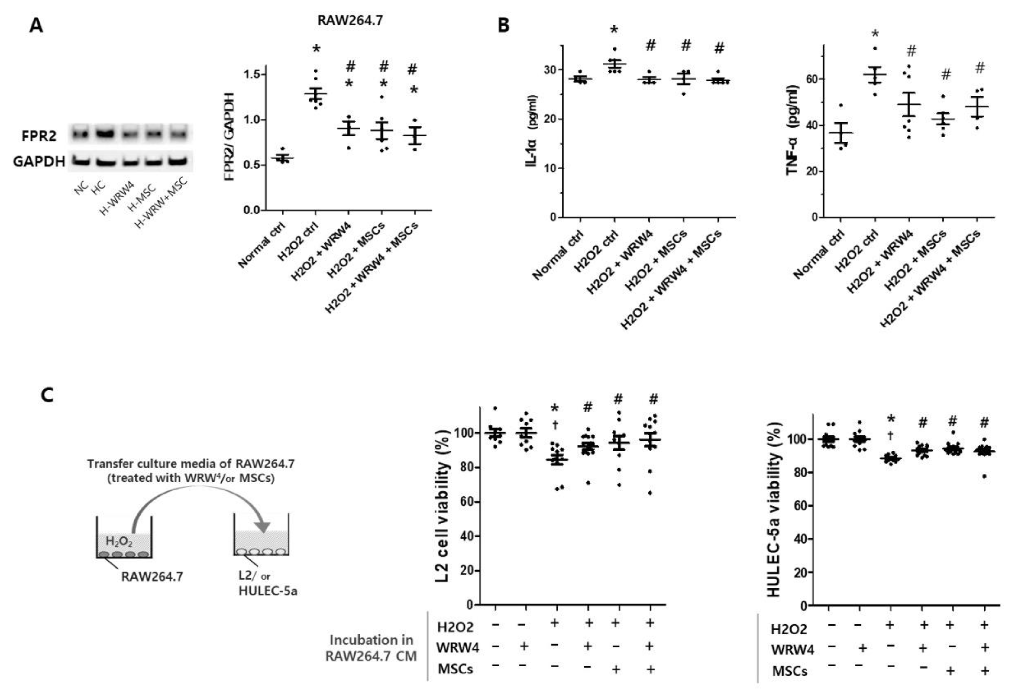 Ijms 23 10604 g001 550