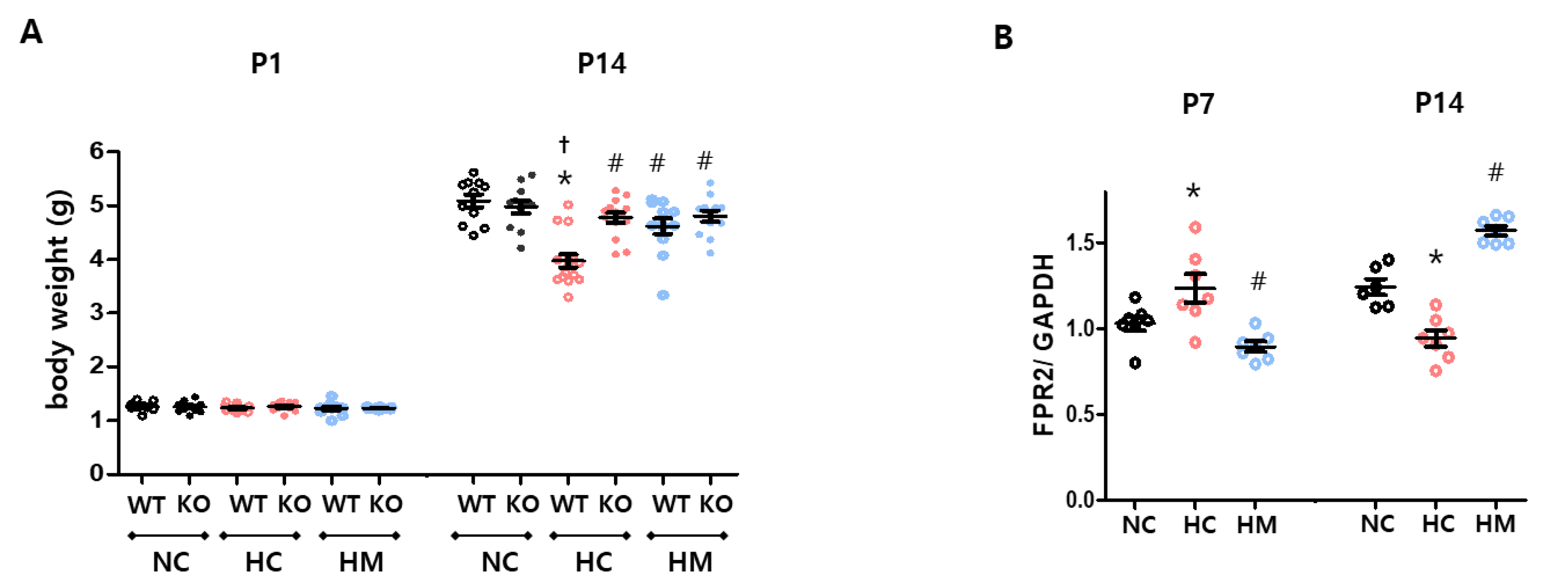 Ijms 23 10604 g002 550